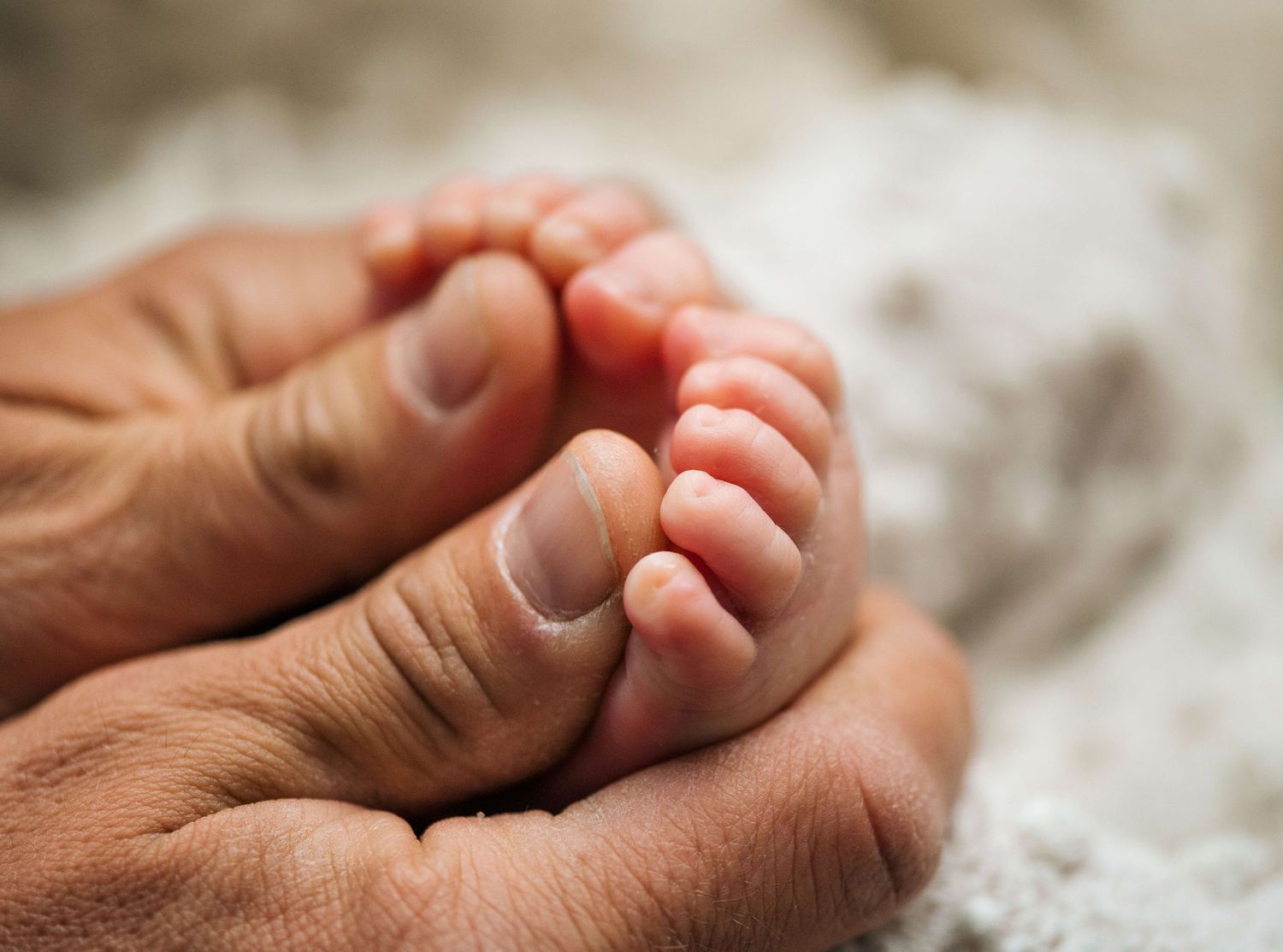 An adult hand gently cradling tiny newborn baby feet on a soft white blanket.