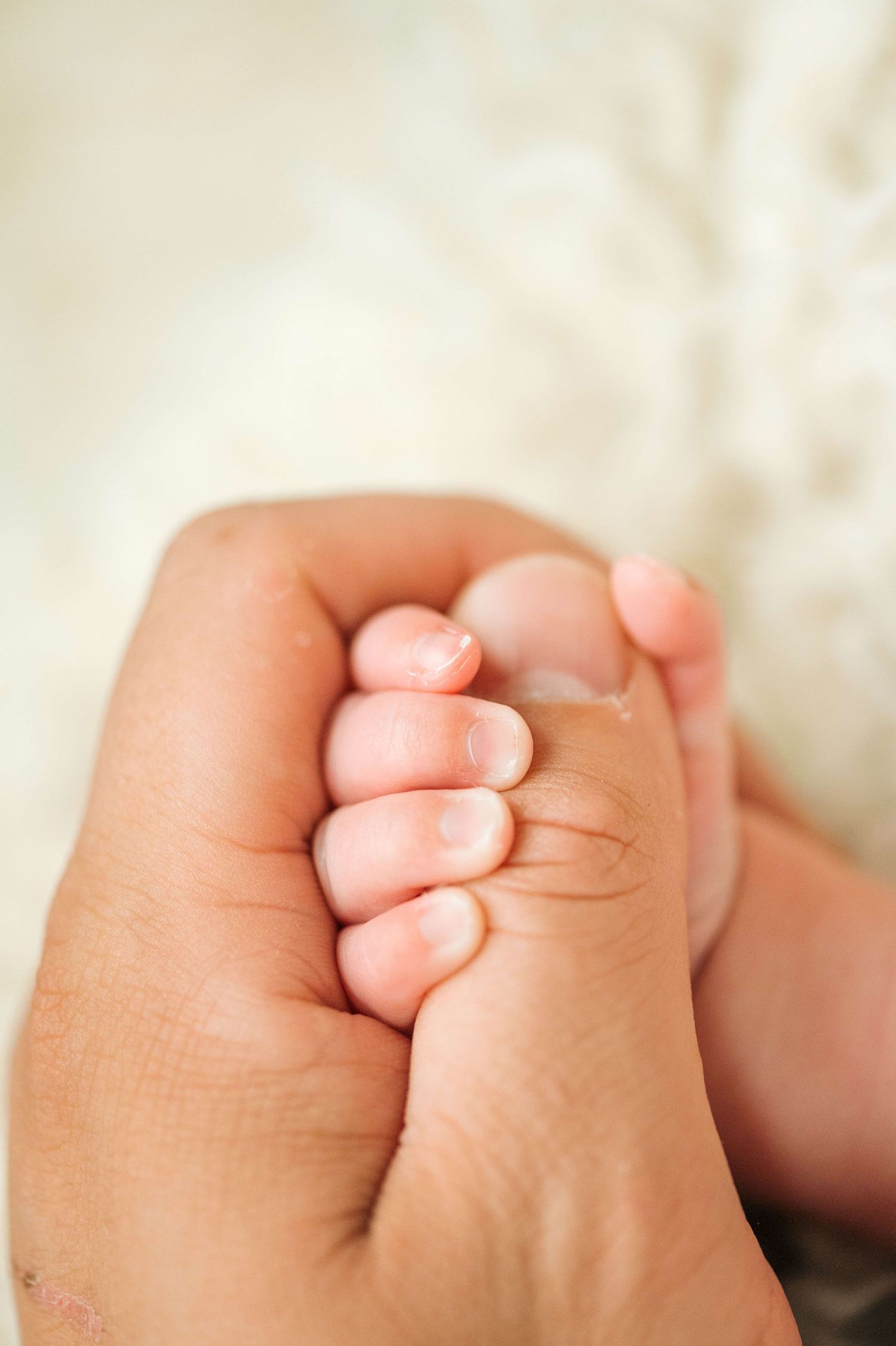 A tiny newborn baby hand gently gripping an adult finger, symbolizing love and new life.