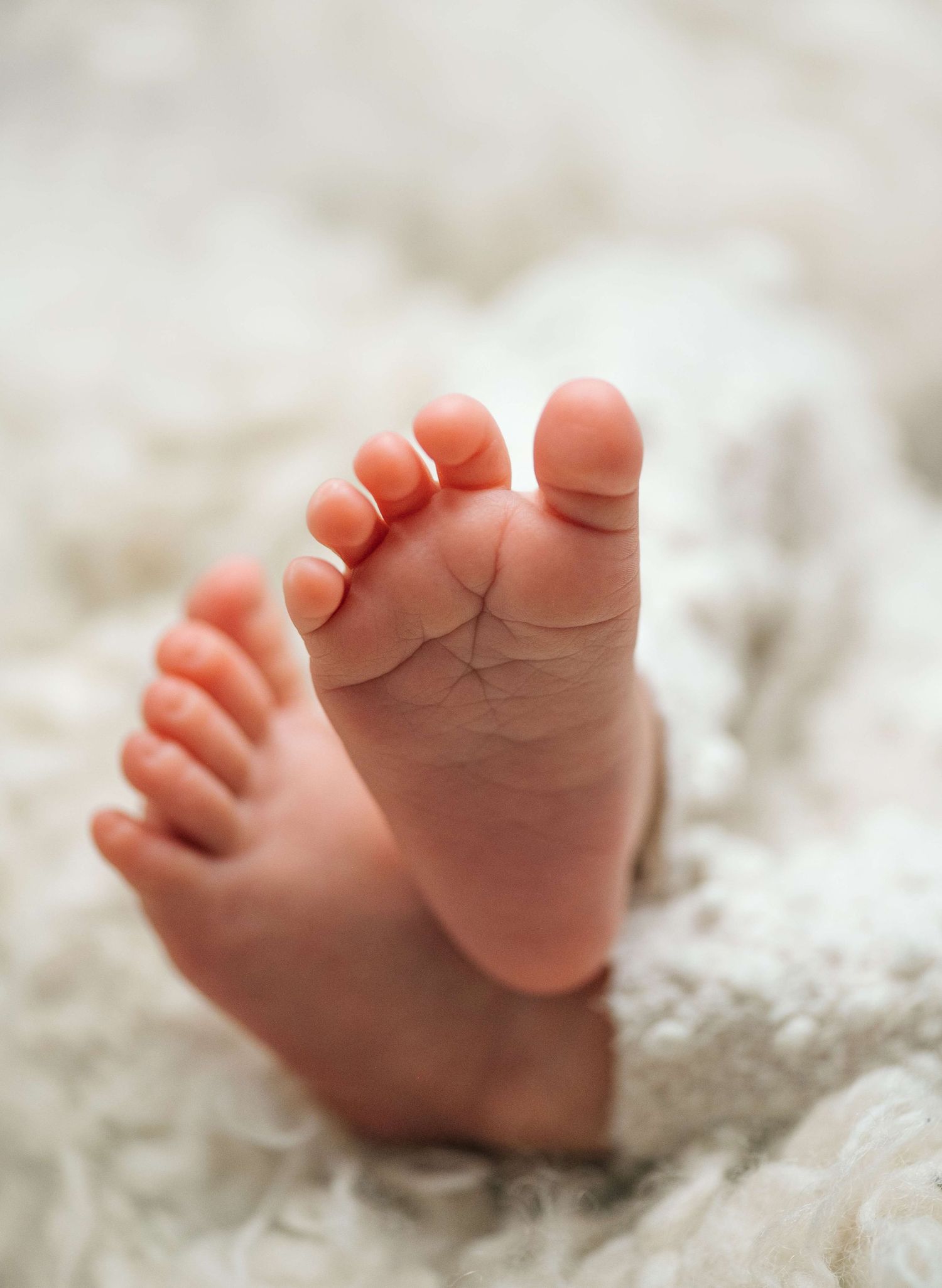 Close-up of tiny newborn baby feet resting on a soft white blanket, showcasing delicate toes and skin texture.