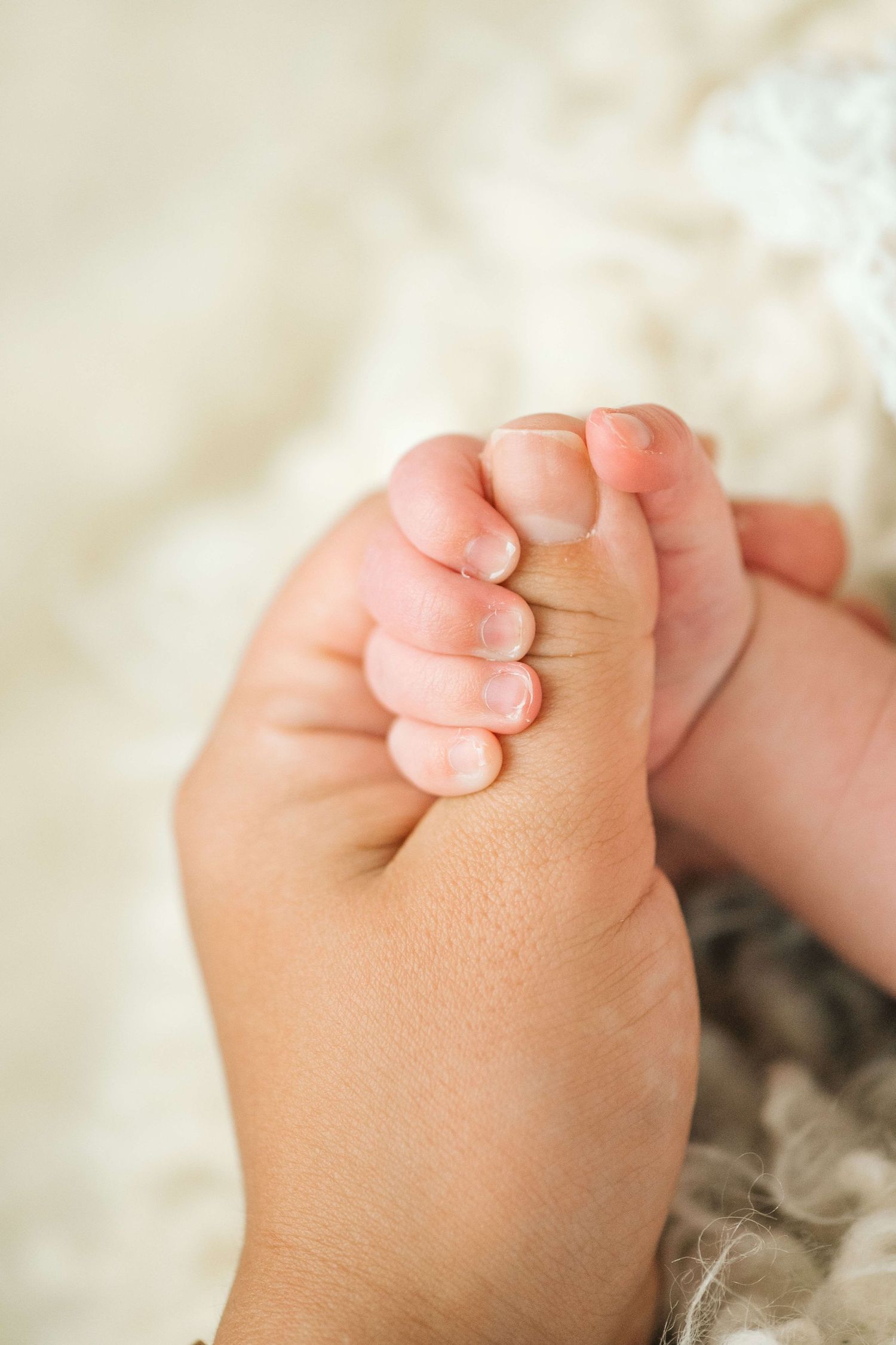 Newborn baby tiny hand gripping adult finger in a tender close-up shot on soft white background.