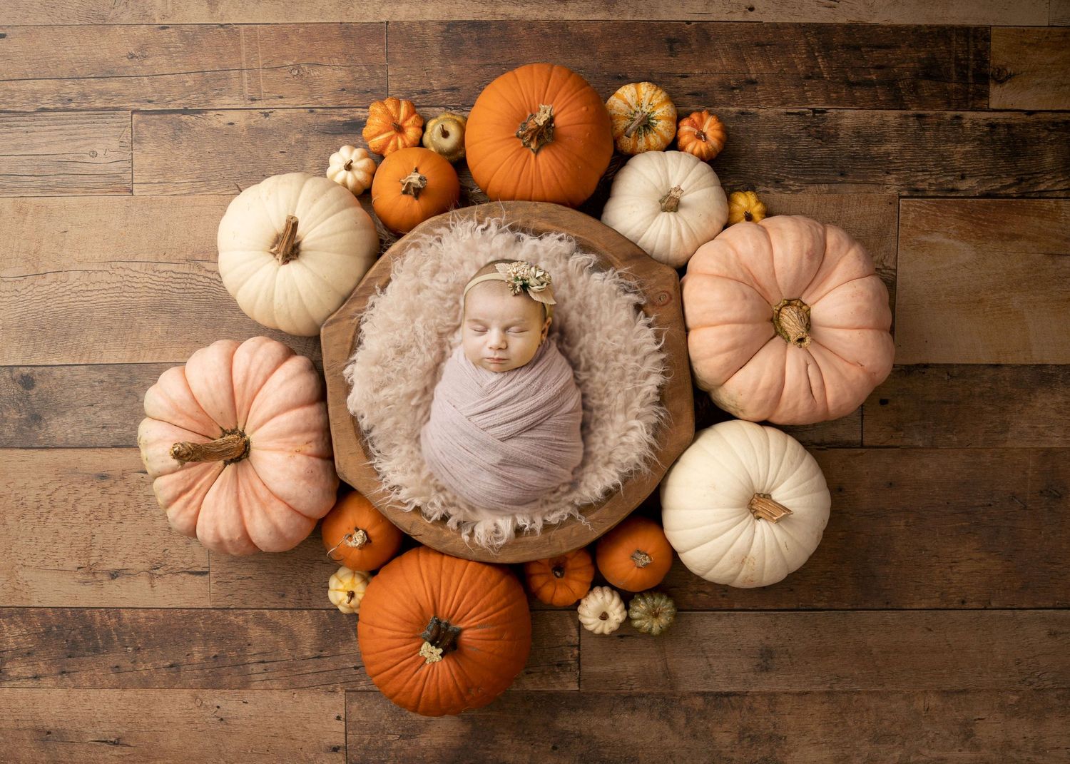 Newborn baby swaddled in pink wrap nestled in wooden bowl surrounded by autumn pumpkins on rustic wood floor.