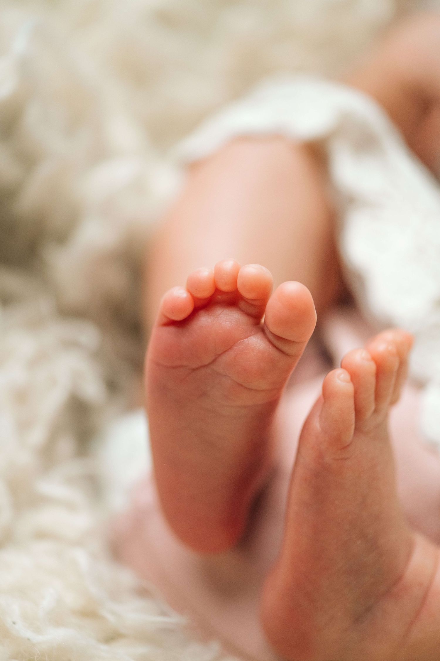Close-up of tiny newborn baby feet resting on a soft white fluffy blanket, showcasing delicate toes.