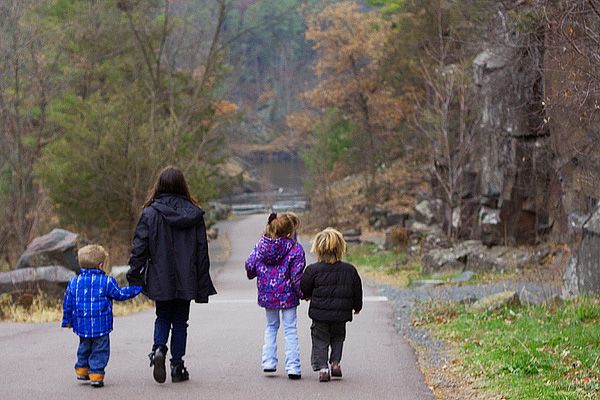 Four children walking together on a paved path through an autumn forest, viewed from behind.