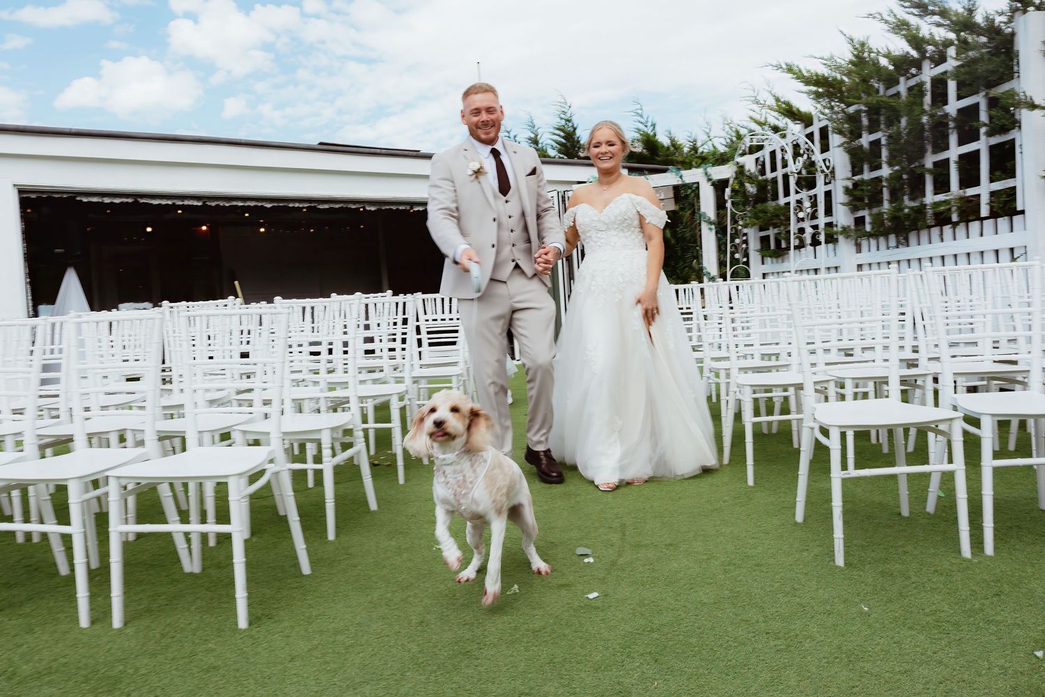 Bride and groom walking with their golden dog between white chairs at an outdoor wedding ceremony.