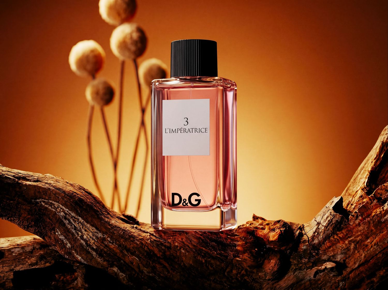 Dolce & Gabbana fragrance bottle in a warm, cinematic product setting.