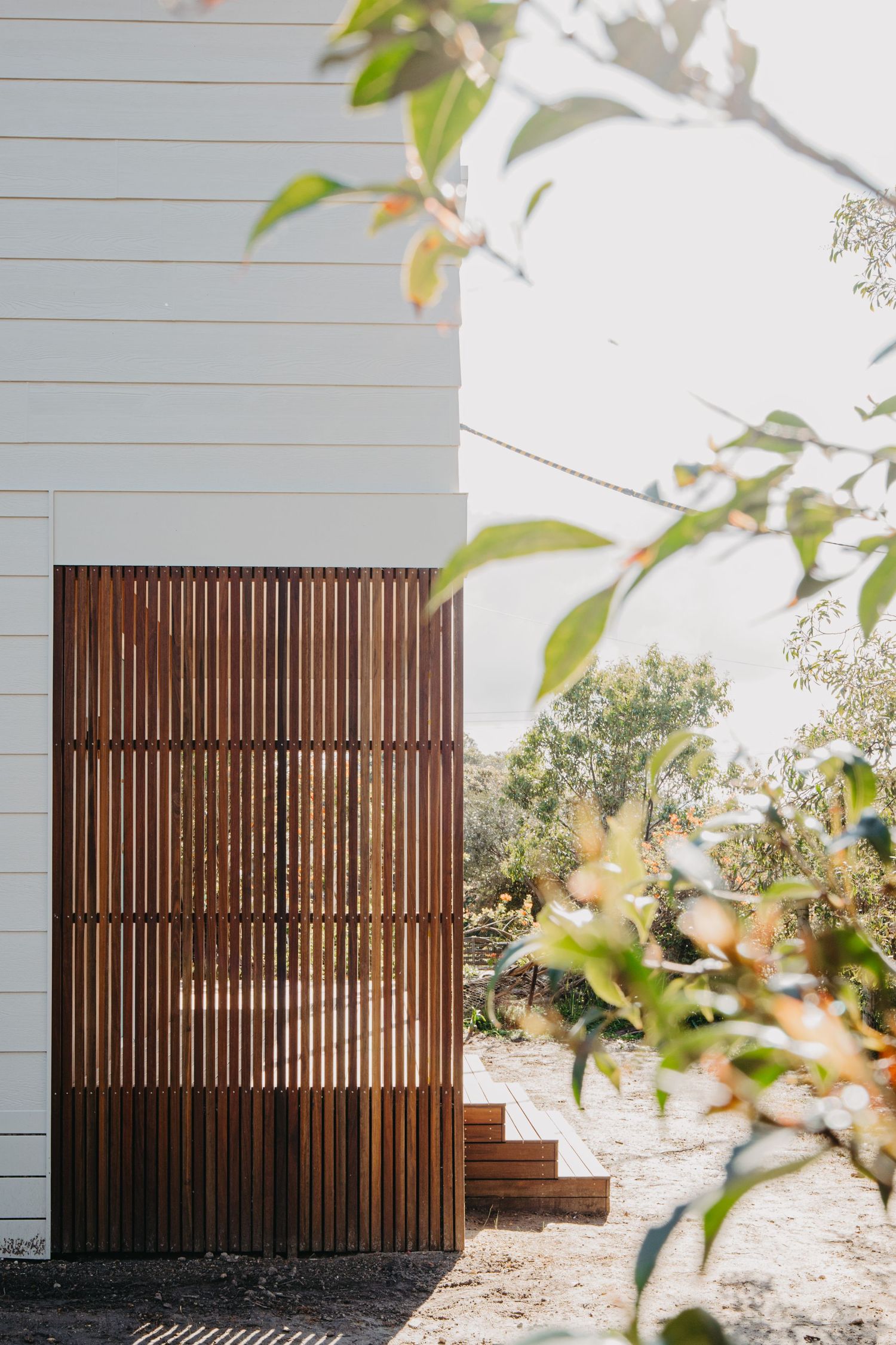 Exterior timber slatted screen panel beside white weatherboard cladding with native bush garden and timber steps.