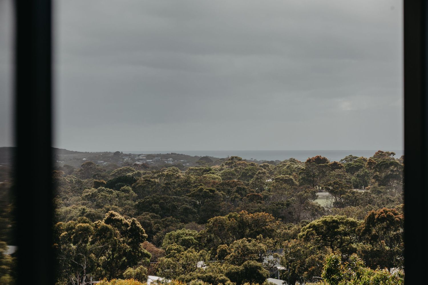 Expansive aerial view of dense green treetops and bushland under overcast sky from elevated window.