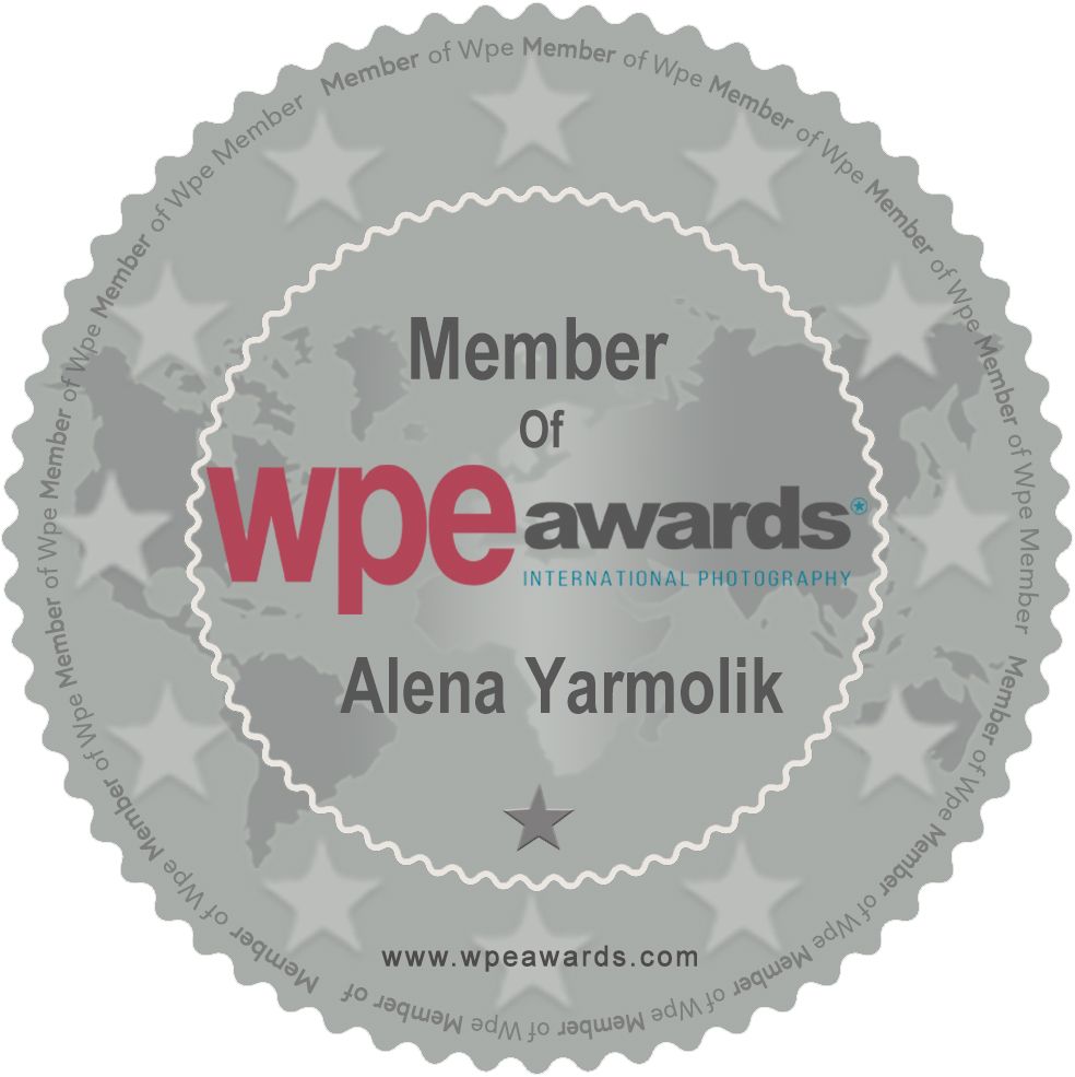 Silver membership badge for WPE Awards featuring red text and star design.