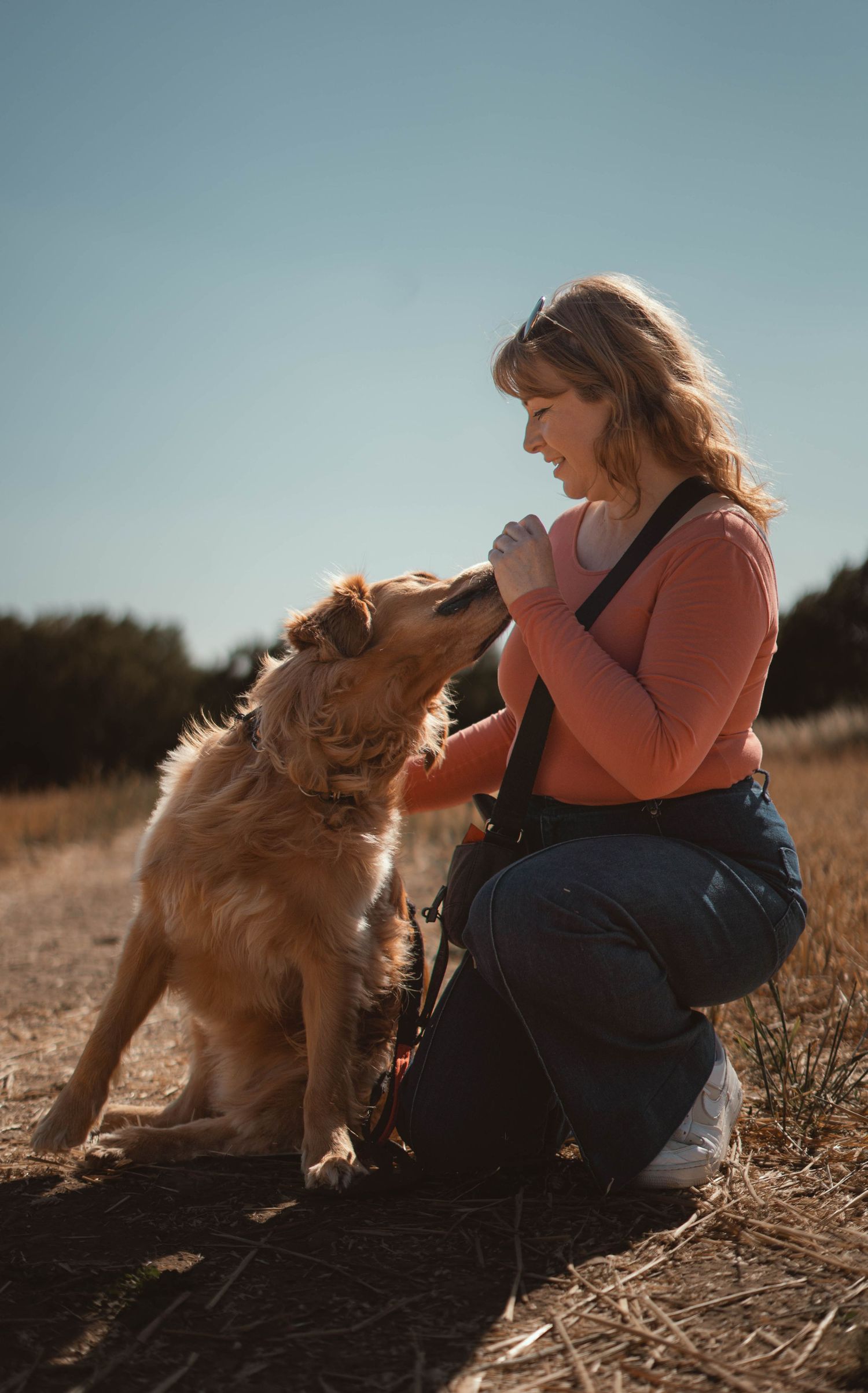 A golden retriever dog licks a smiling woman crouching in a sunny dry grass field outdoors.
