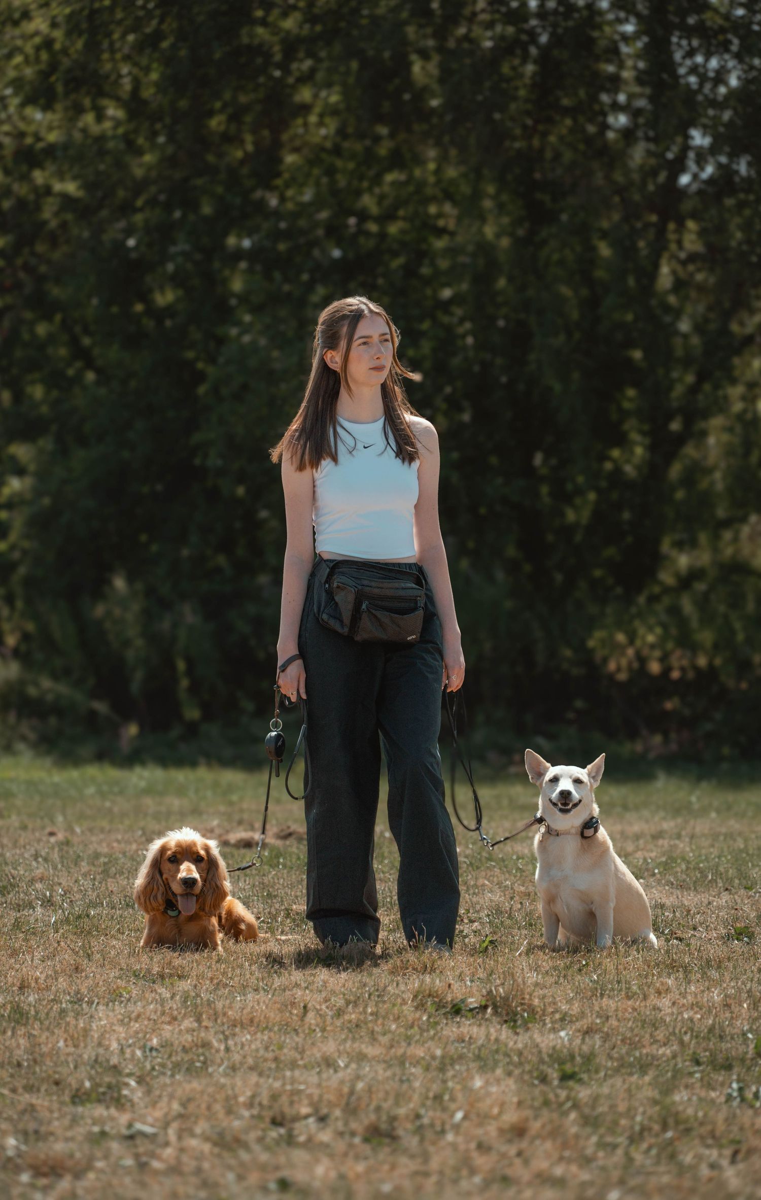 Young woman standing with a Cocker Spaniel and white dog on leashes outdoors.