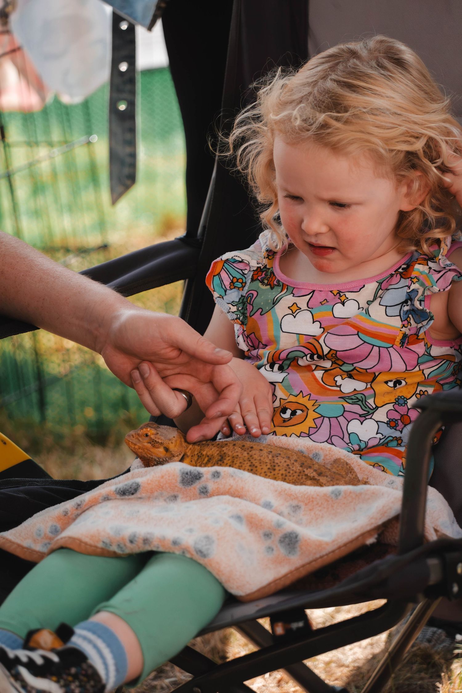 A toddler girl in a colorful dress sits in a stroller examining something in an adult hand.