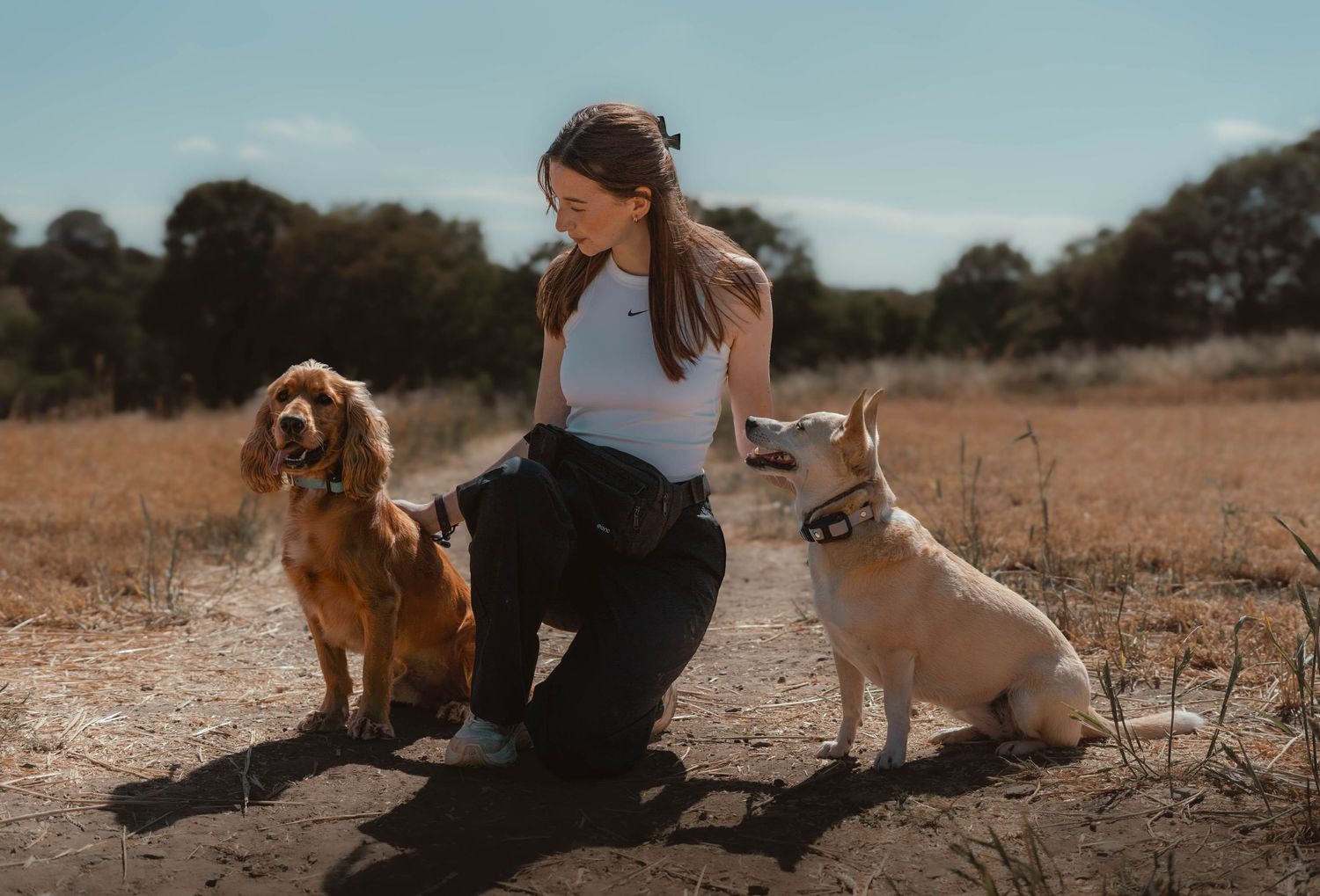 A young woman kneels between a golden Cocker Spaniel and a white Shiba Inu in a field.