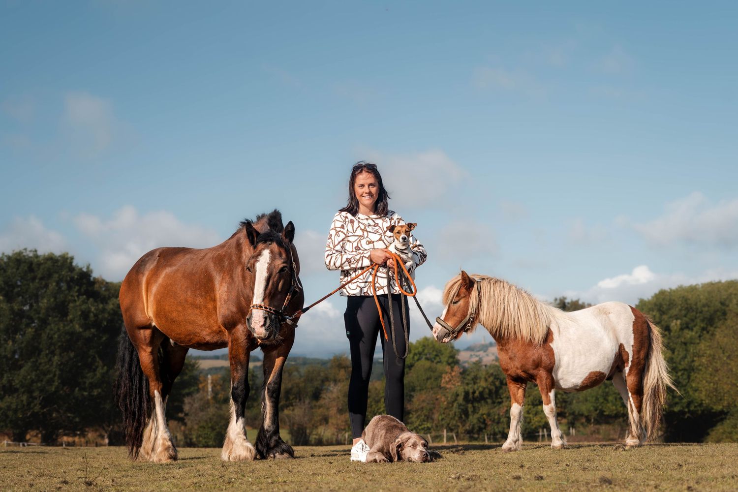Smiling woman standing with a large brown horse, a pinto pony, and a dog in an open field.