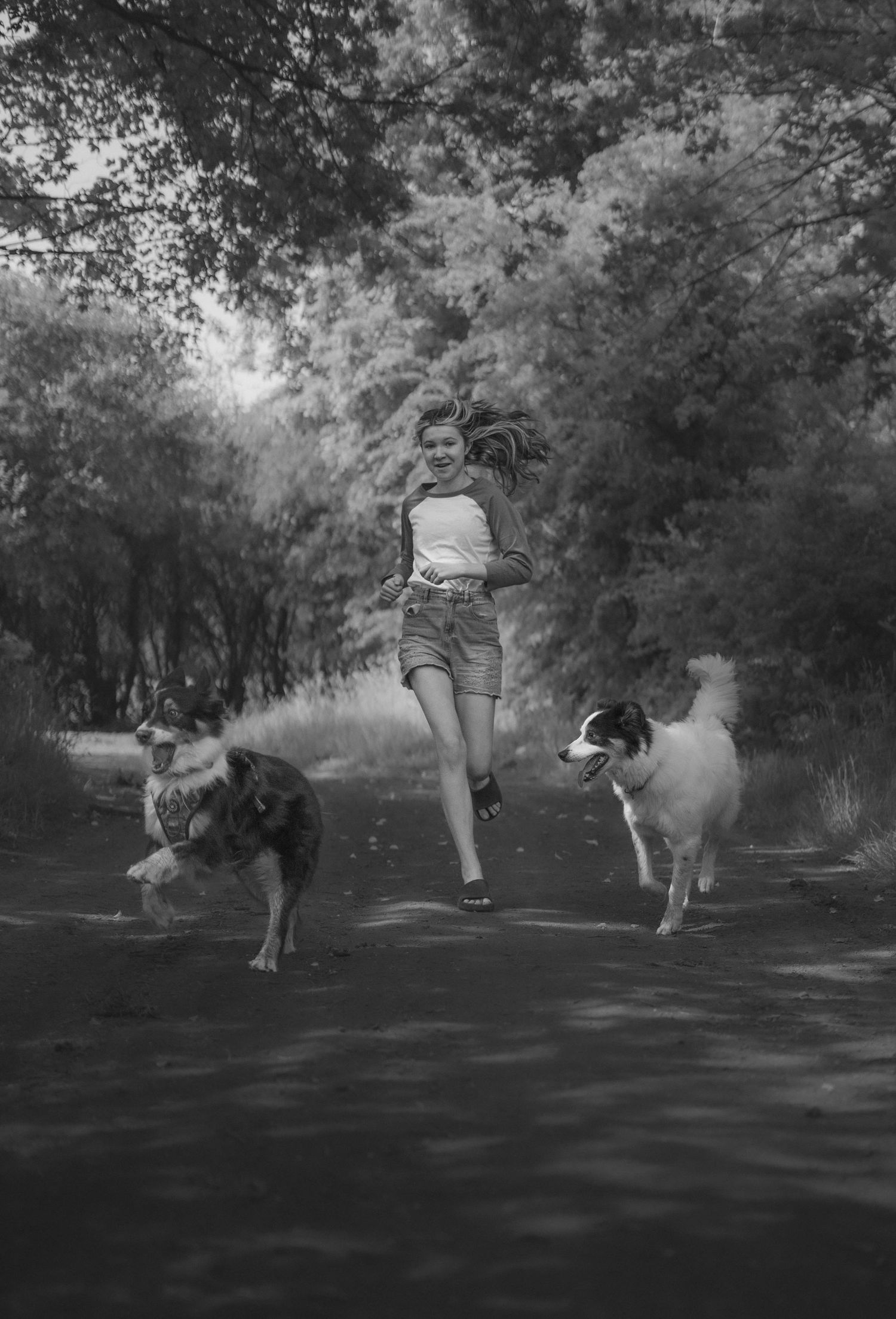 Girl running with two dogs on a forest path in black and white photography.
