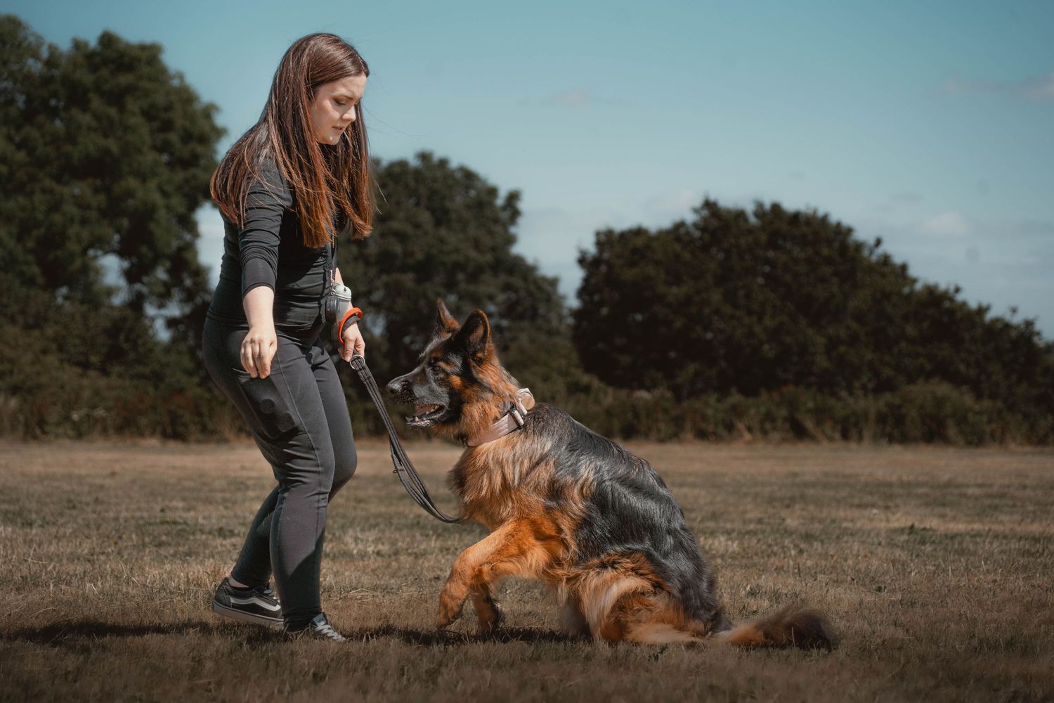Woman training a German Shepherd dog on a leash in an open field outdoors.