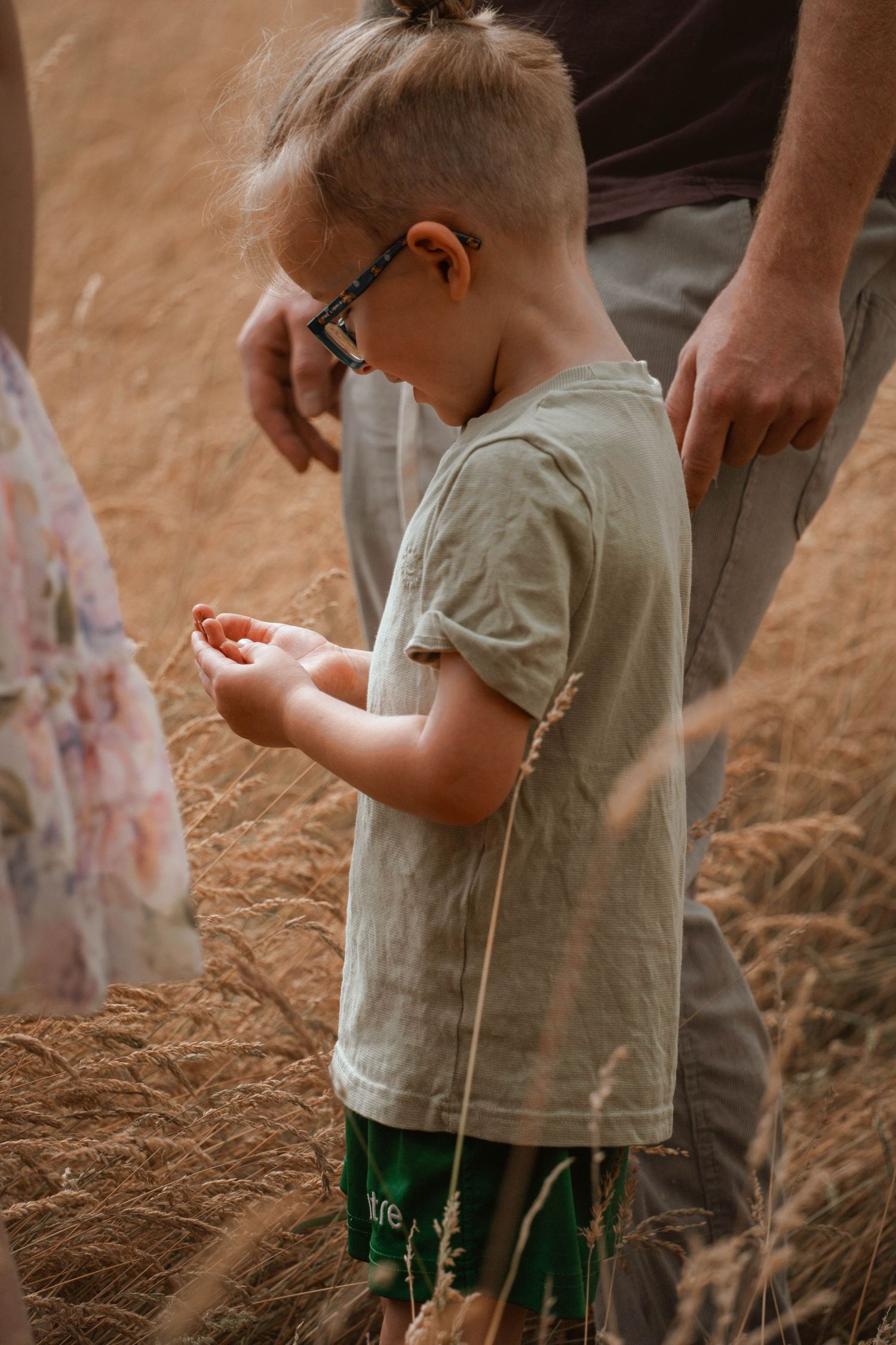 A young child wearing glasses examines wheat stalks in a golden field while parents stand nearby.