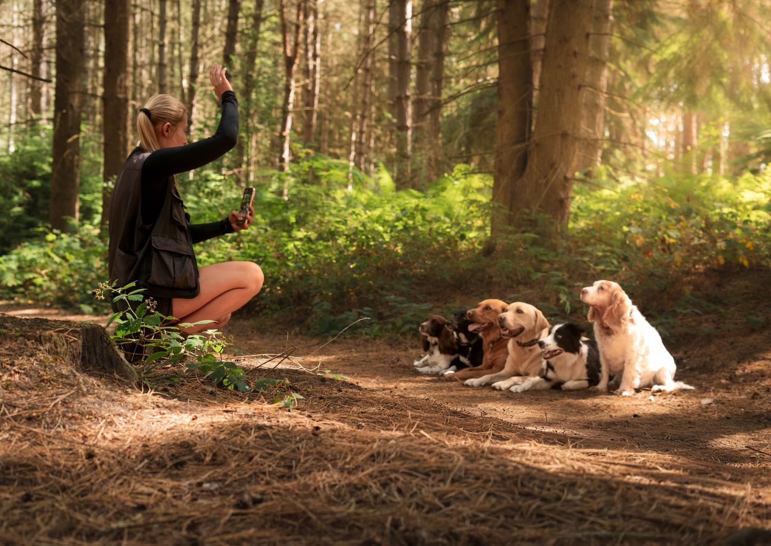 Woman sitting on a log in a sunlit forest training four dogs to sit in a row.
