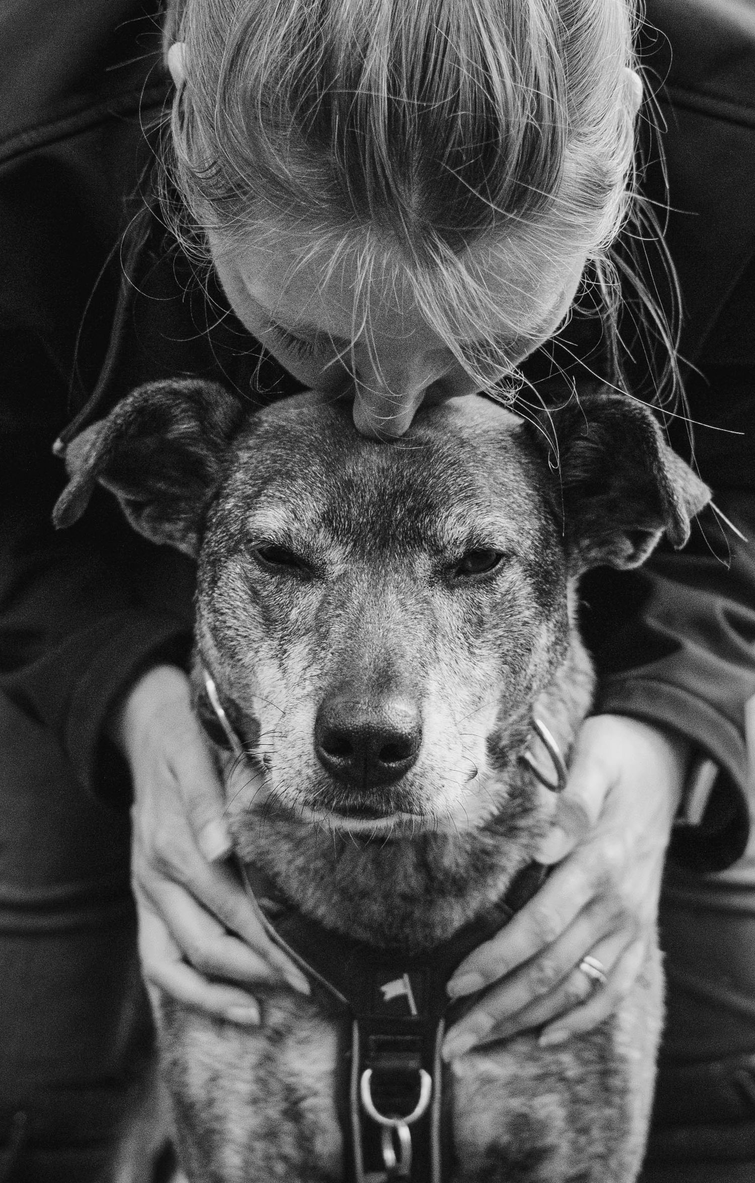 Black and white portrait of a woman tenderly kissing an older dog on the head.