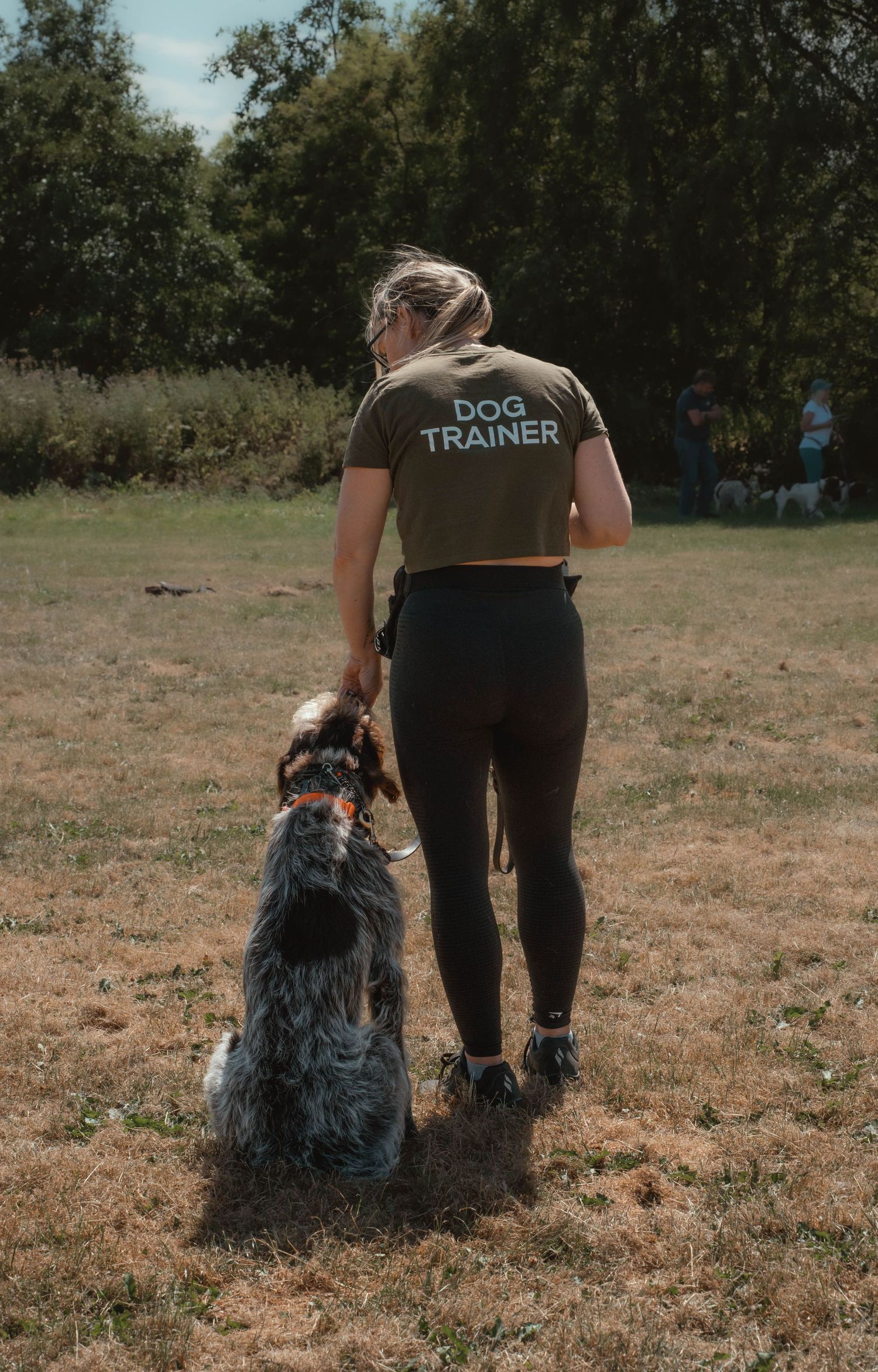 Professional dog trainer in olive shirt walking with a large black and grey dog on a grassy field.