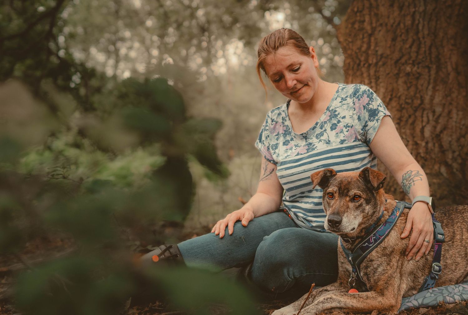 Woman sitting against a tree trunk with a brown dog resting beside her in a forest.