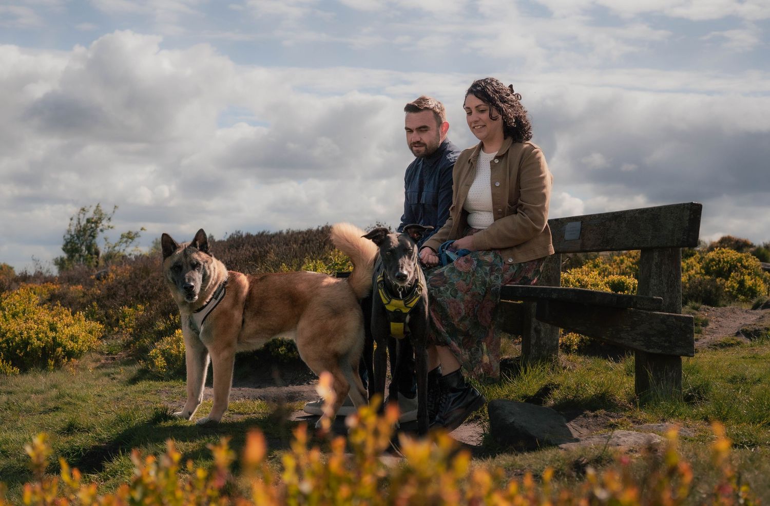 Couple sitting on a wooden bench with a large dog in a scenic moorland landscape.