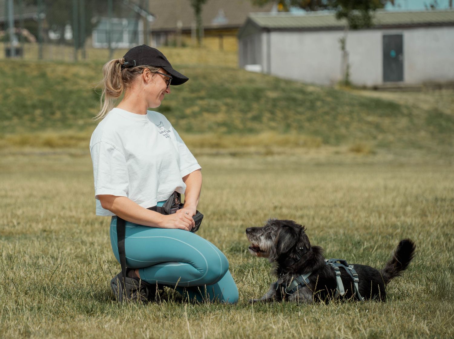Female dog trainer kneeling on grass making eye contact with a small black dog in a harness.
