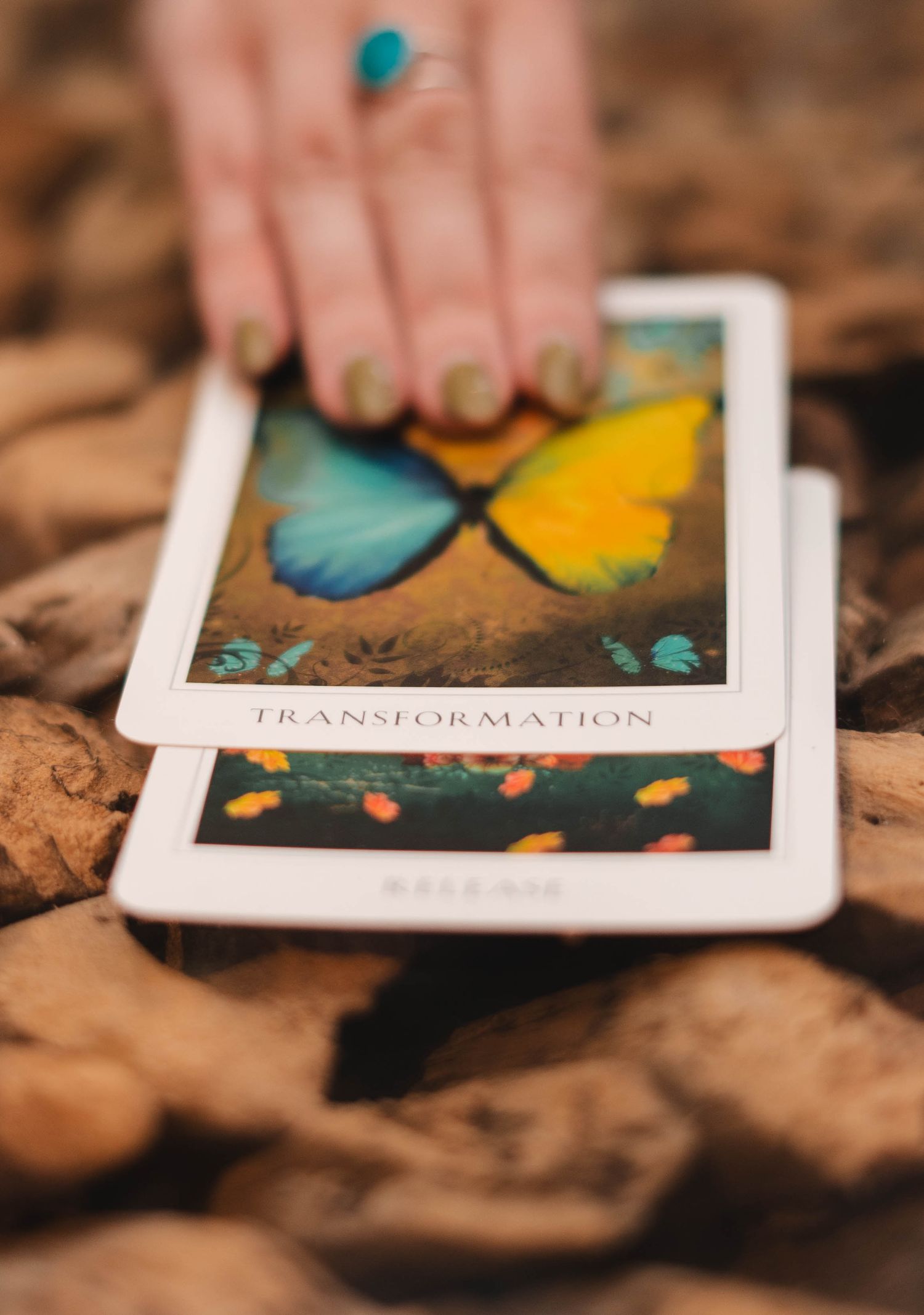Hand placing tarot cards labeled Transformation and Release on a bed of rocks outdoors.
