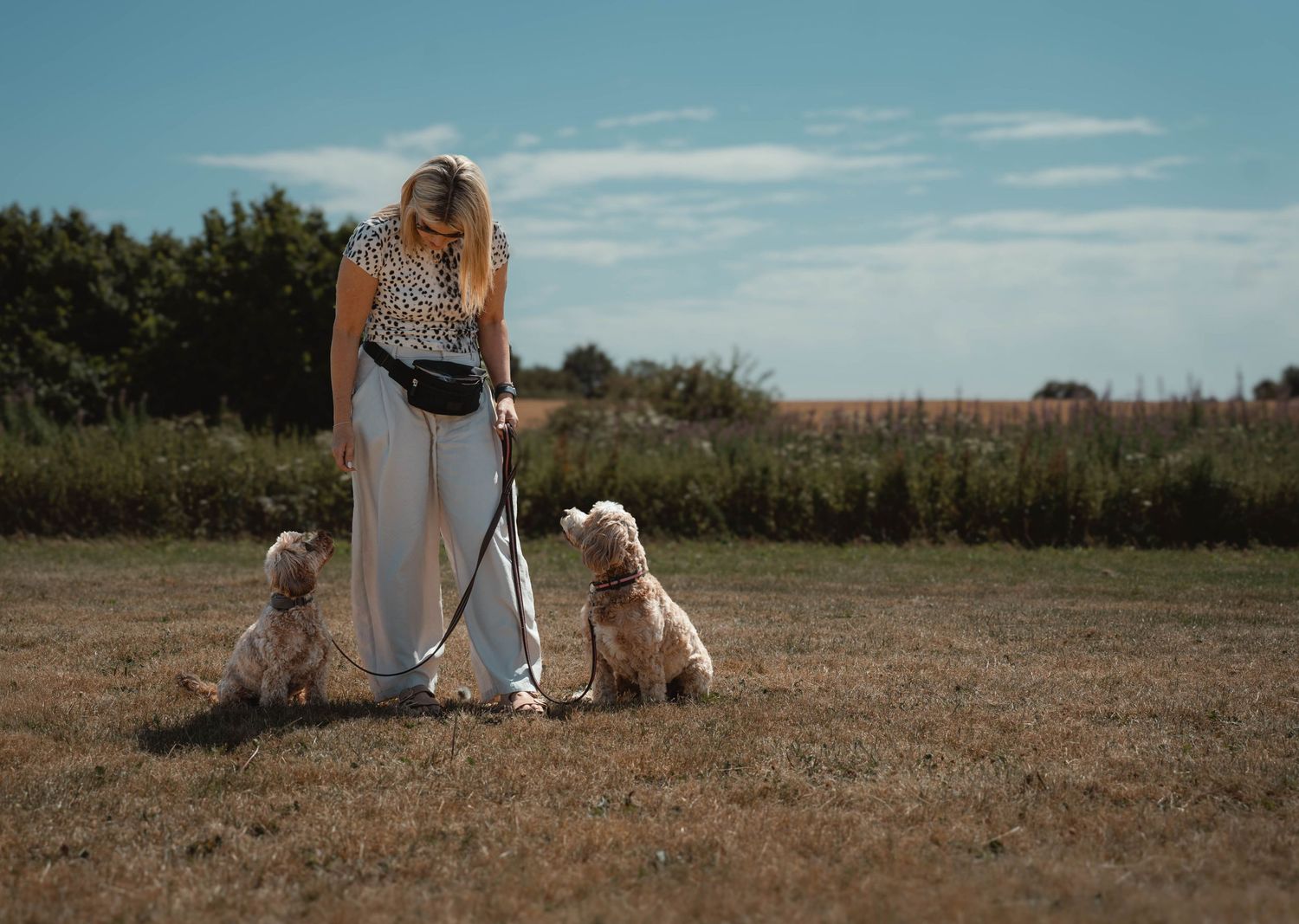Blonde woman looking down at three fluffy dogs sitting on dry grass.