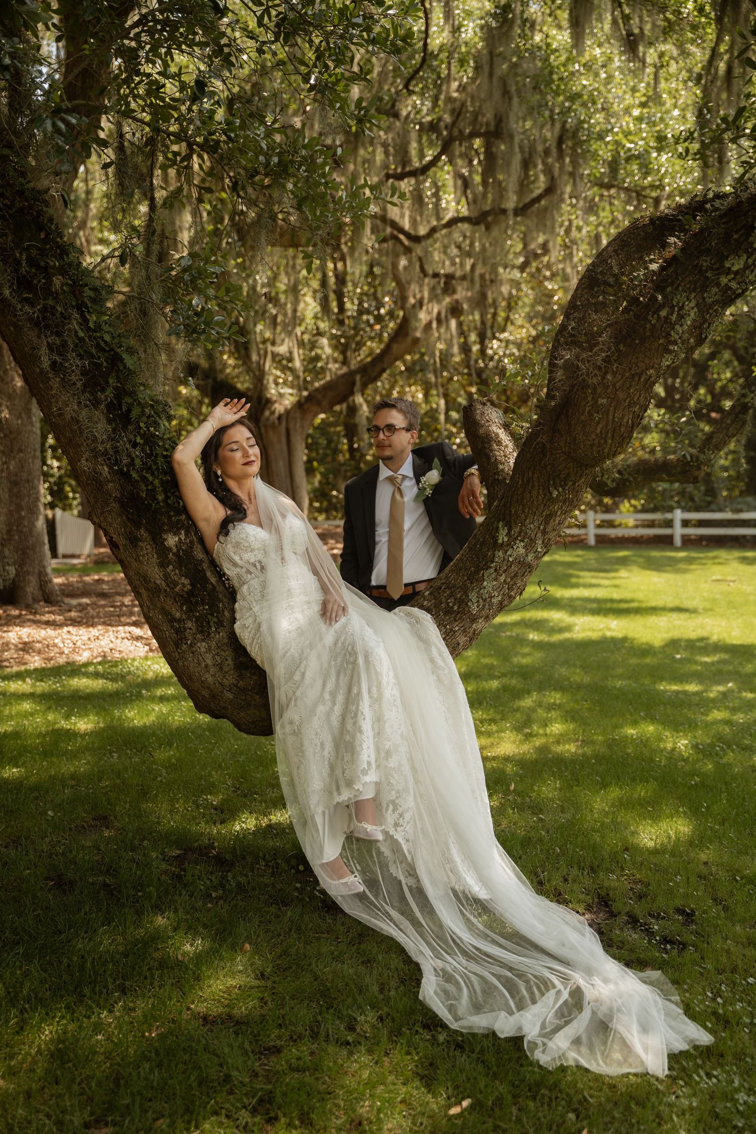 Bride and groom posing on a large oak tree draped with Spanish moss in a lush green garden setting.