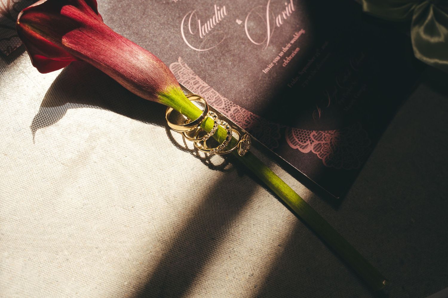 Red calla lily resting on a wedding invitation with gold rings, bathed in warm sunlight on a neutral background.