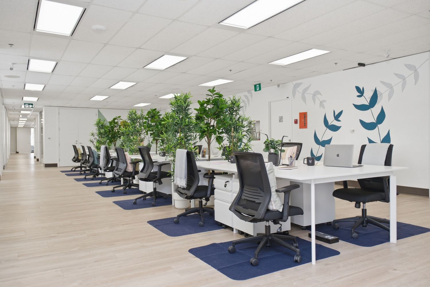 Modern open-plan office with rows of white desks, ergonomic chairs, indoor trees, and blue leaf wall art on light wood floors.