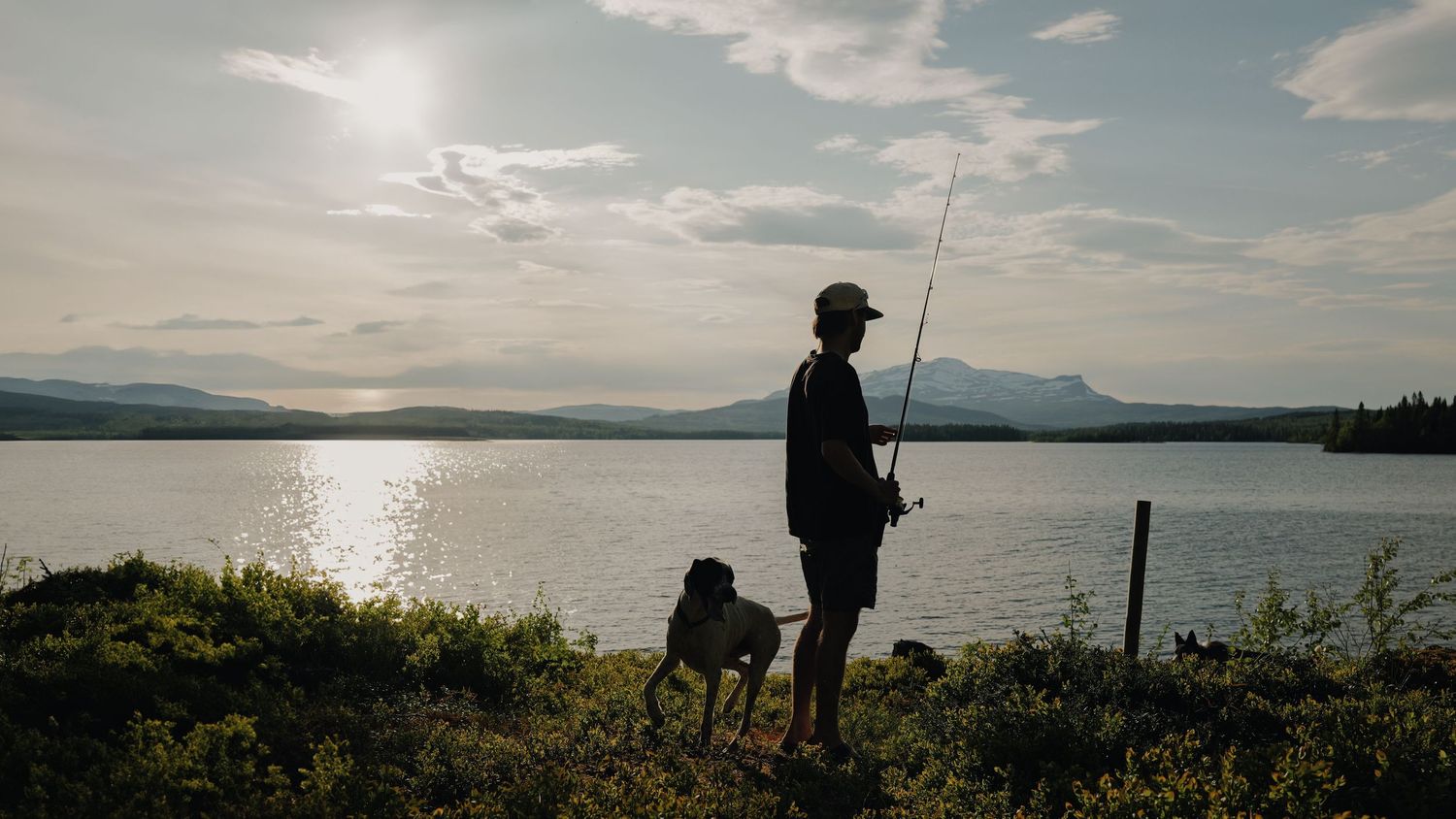Man fishing by a serene lake at sunset with a dog beside him and mountains in the background.