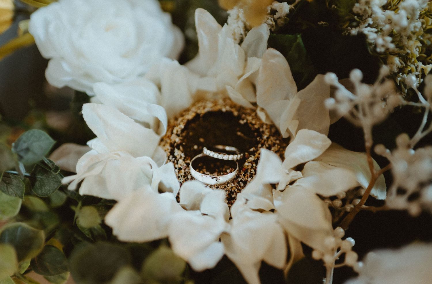Wedding rings resting inside a white sunflower surrounded by eucalyptus and white roses.