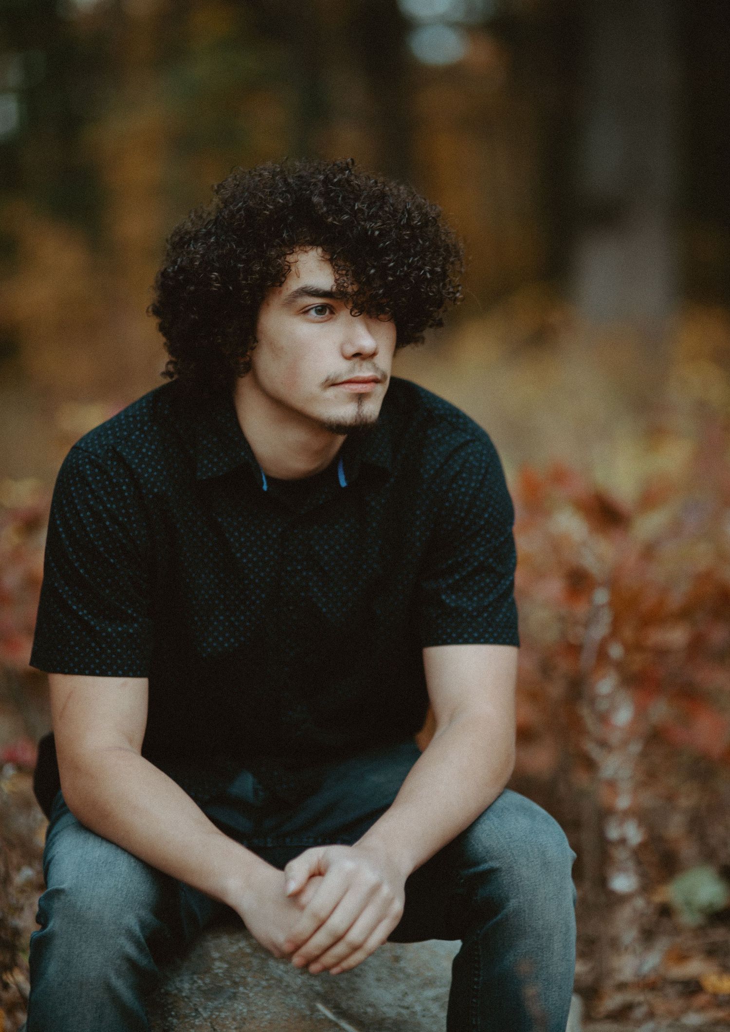 Young man with curly hair sitting on rock in autumn forest, hands clasped.