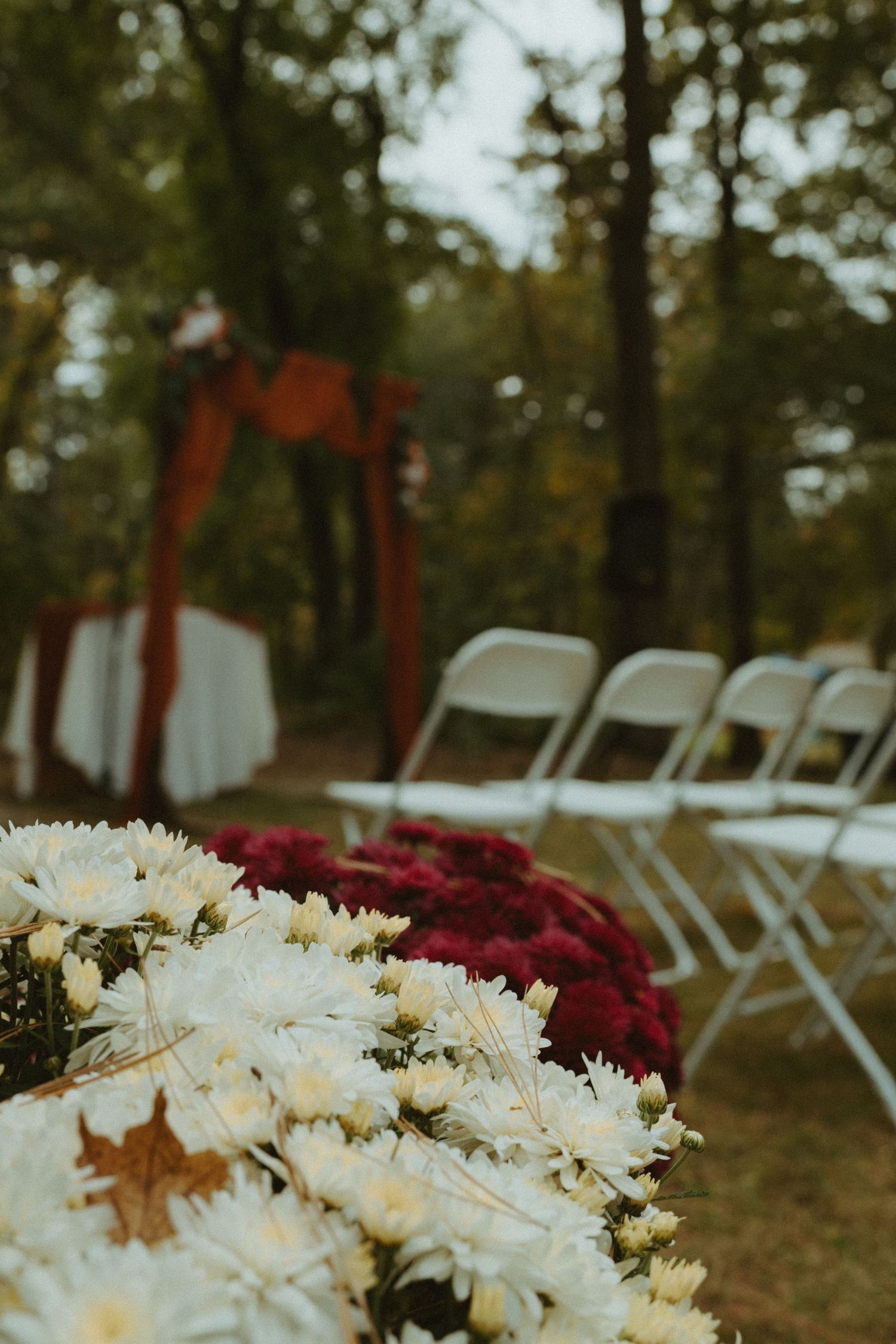 Outdoor fall wedding ceremony setup with white and burgundy chrysanthemums lining aisle, white chairs, and floral arch backdrop.