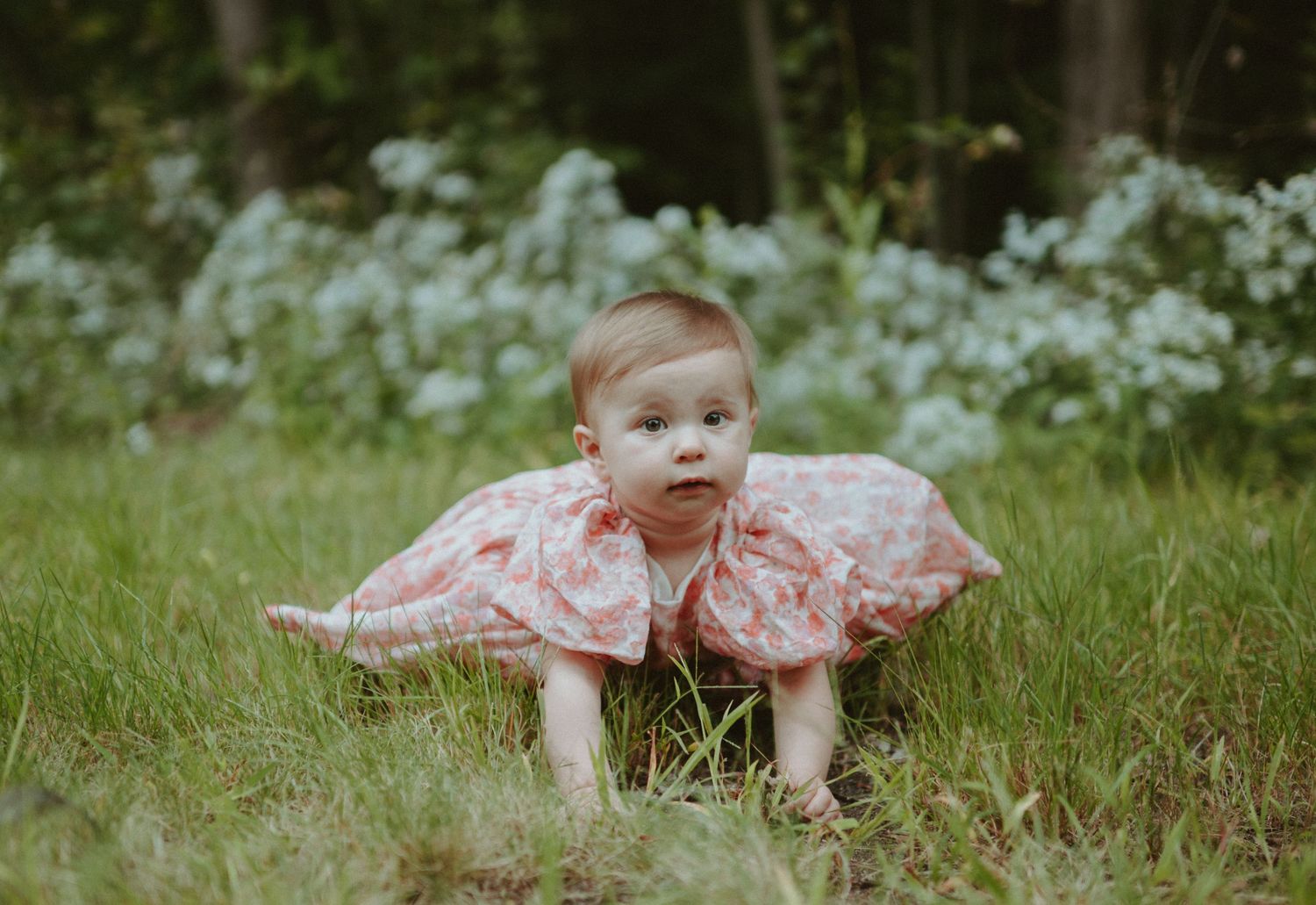 Baby girl in pink floral dress crawling on green grass outdoors.