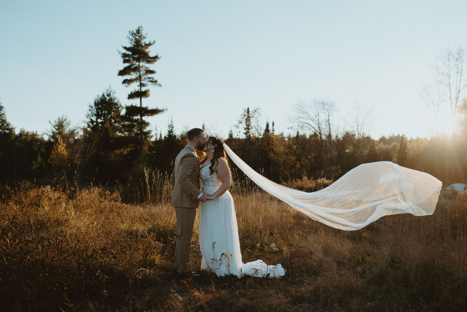 Bride and groom kiss in golden field with veil flowing dramatically in the breeze.