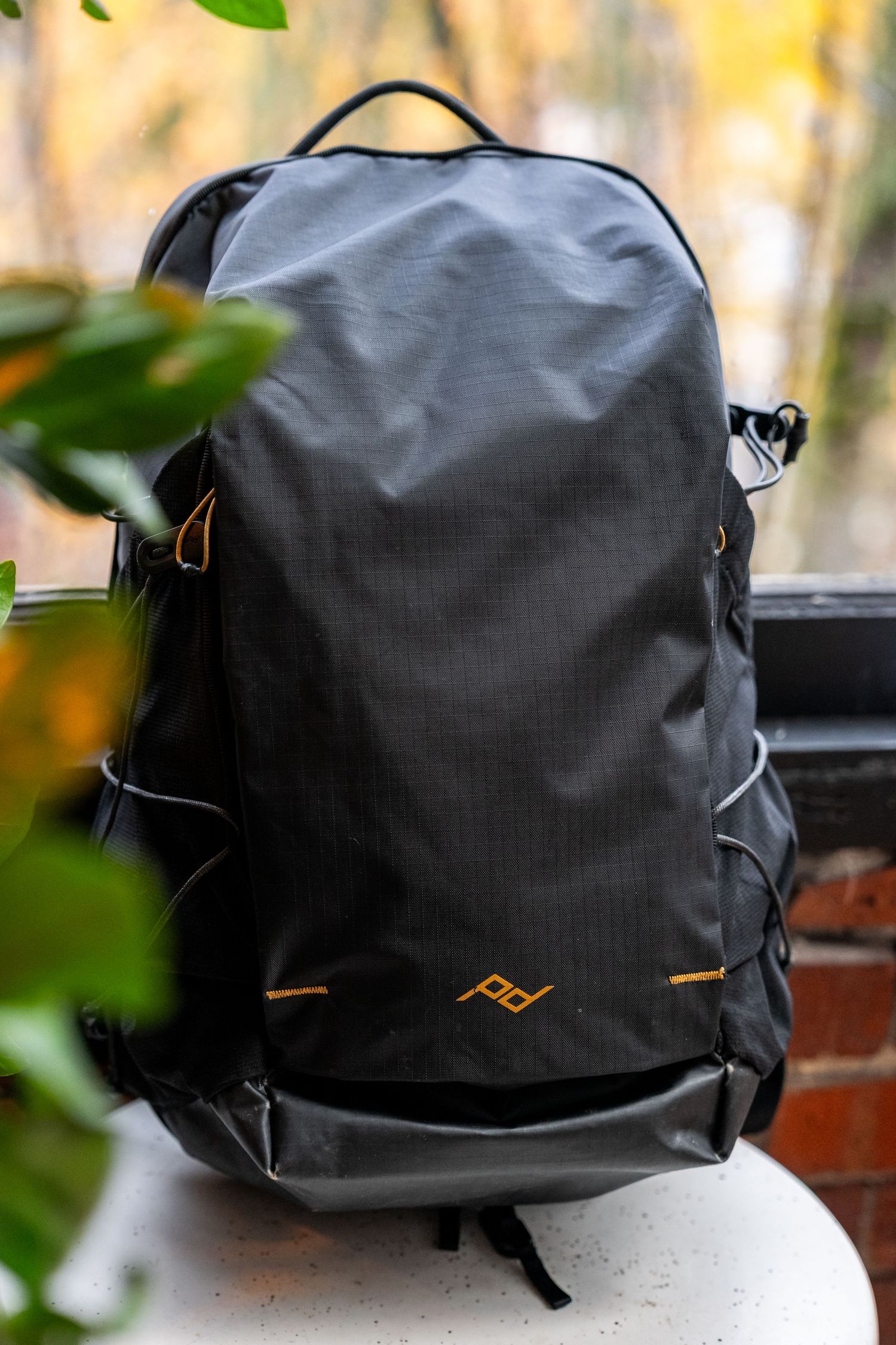 Peak Design black backpack with orange logo sitting on a ledge surrounded by autumn foliage.