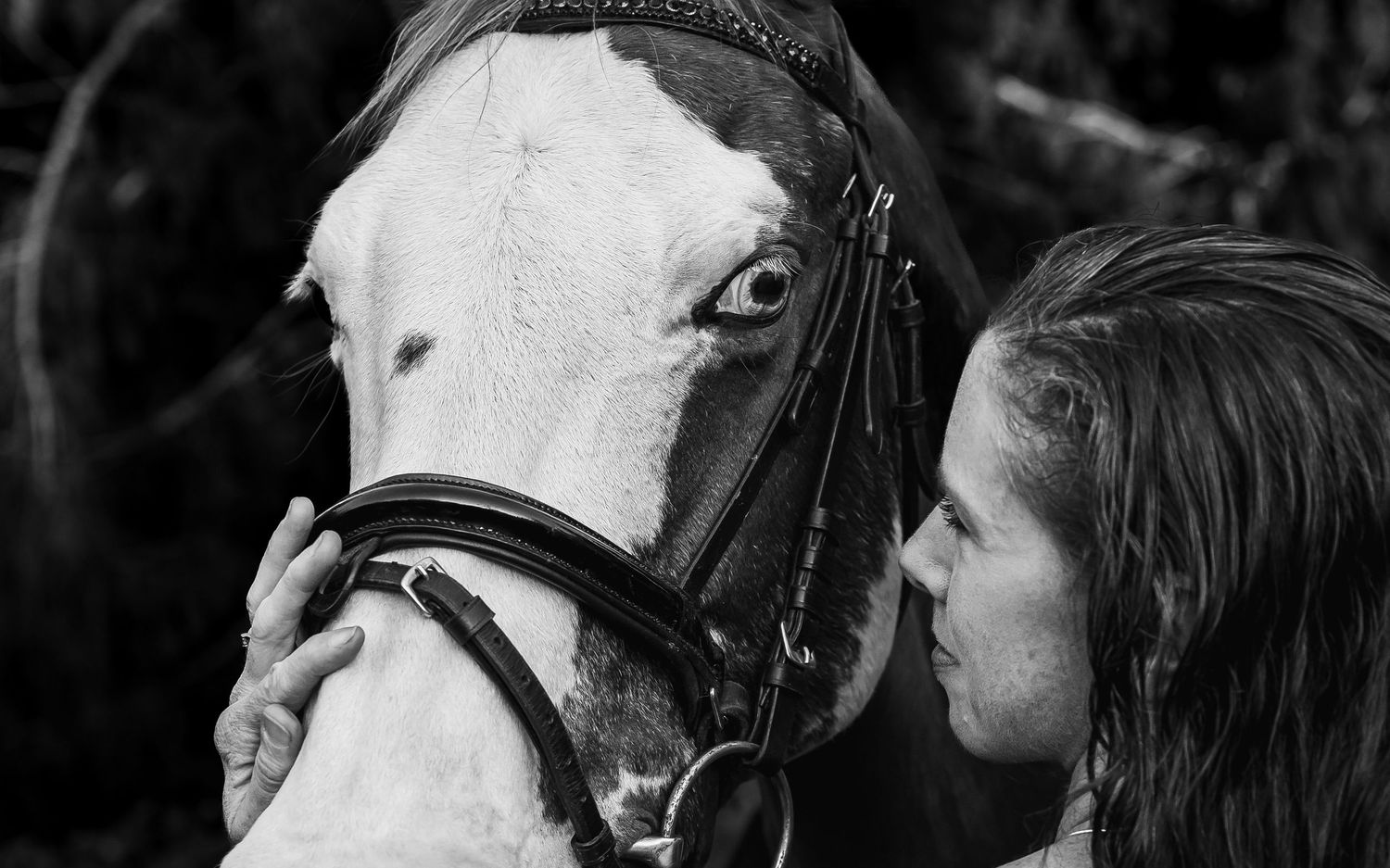 Black and white photo of a young woman tenderly pressing her face against a pinto horse wearing a bridle.