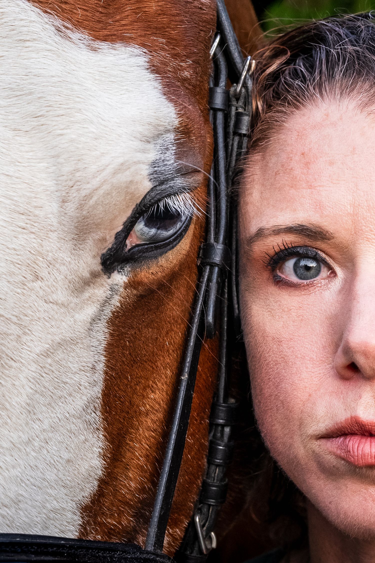 Close-up portrait of woman and chestnut horse side by side showing half each face.