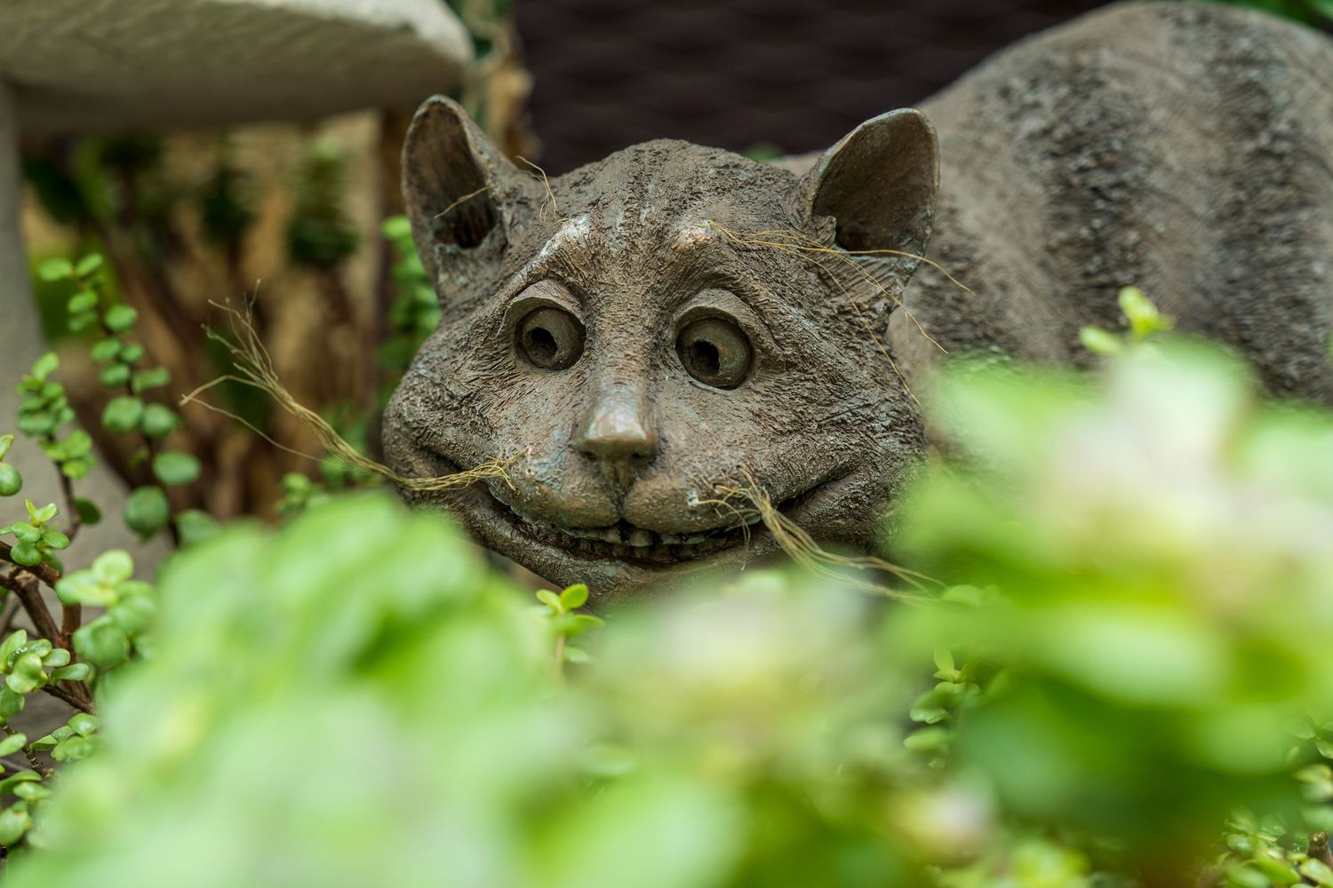 Stone Cheshire Cat sculpture with wide grin and big eyes peeking through lush green garden foliage.