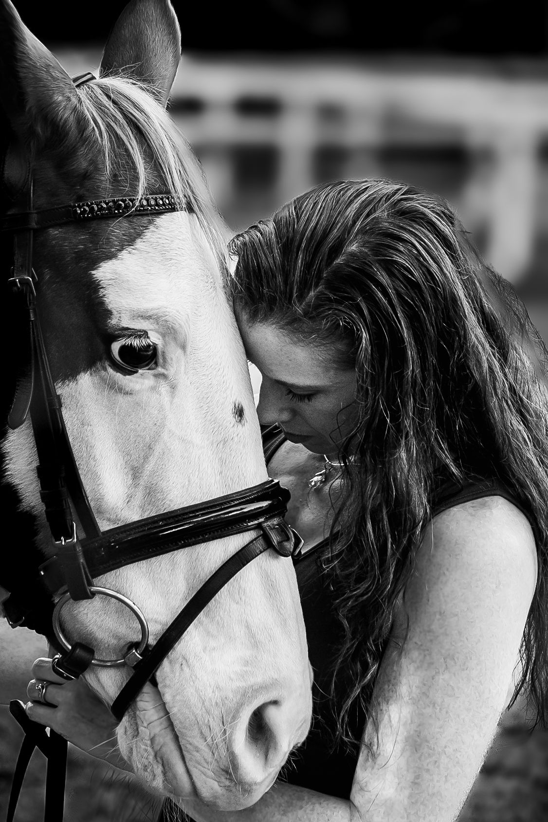 Life and legacy photography Seattle — horse and human soul companion bond Eighth Square Studio