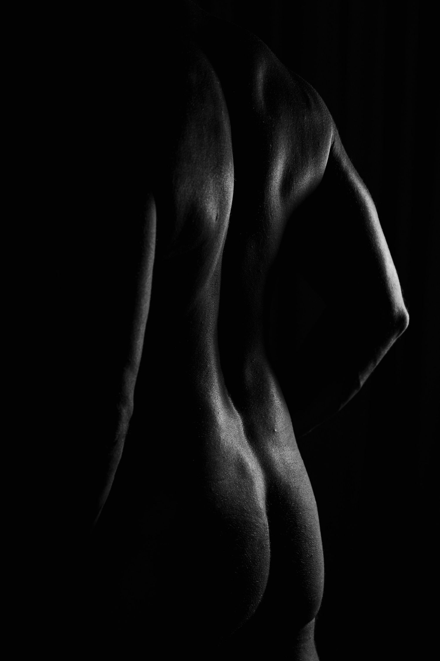 Black and white fine art nude silhouette highlighting the curved back and figure of a woman.