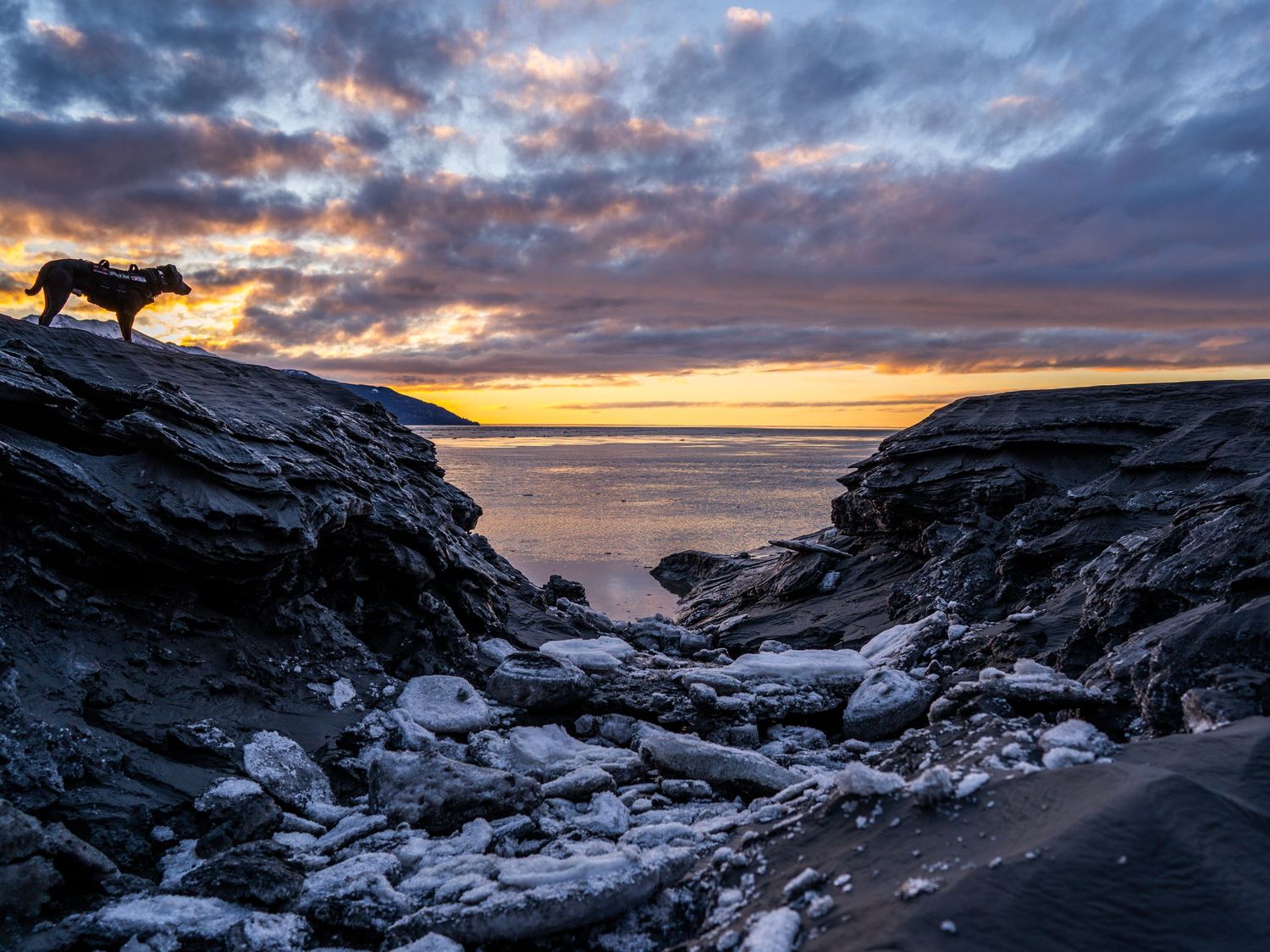 A dog stands on rocky coastal cliffs at sunset, with dramatic clouds over calm ocean waters.