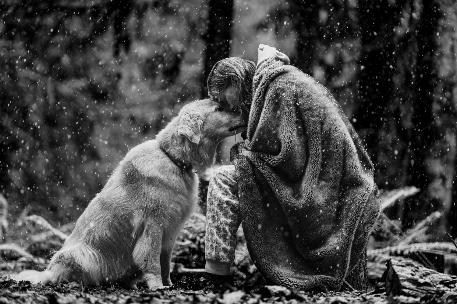 Black and white photo of a woman in a blanket sharing a tender moment with a golden retriever in snowy woods.