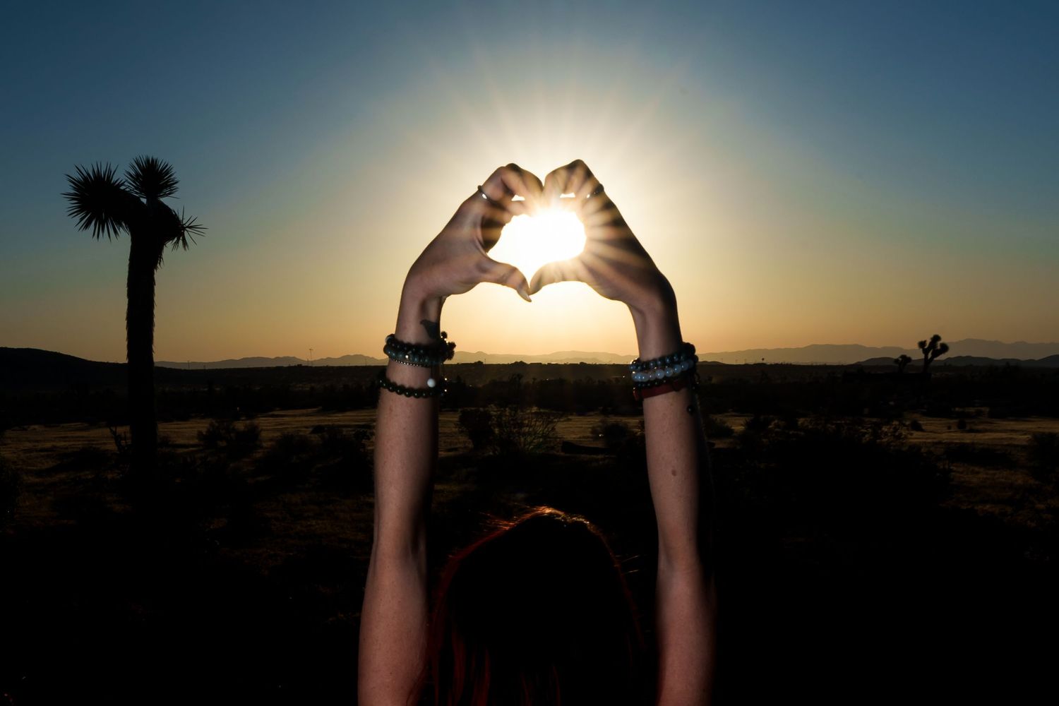 Person forming a heart shape with hands against a golden sunset sky in a desert landscape with Joshua trees.