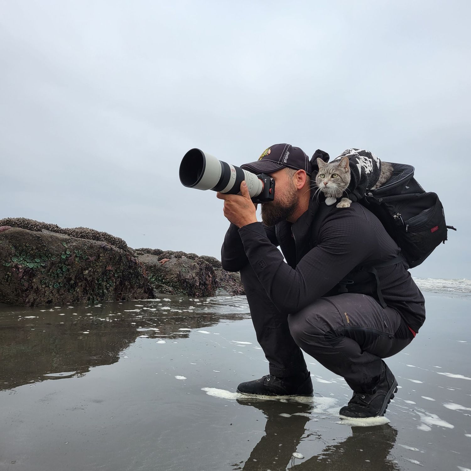Male wildlife photographer crouching on a rocky beach using a large telephoto lens on an overcast day.