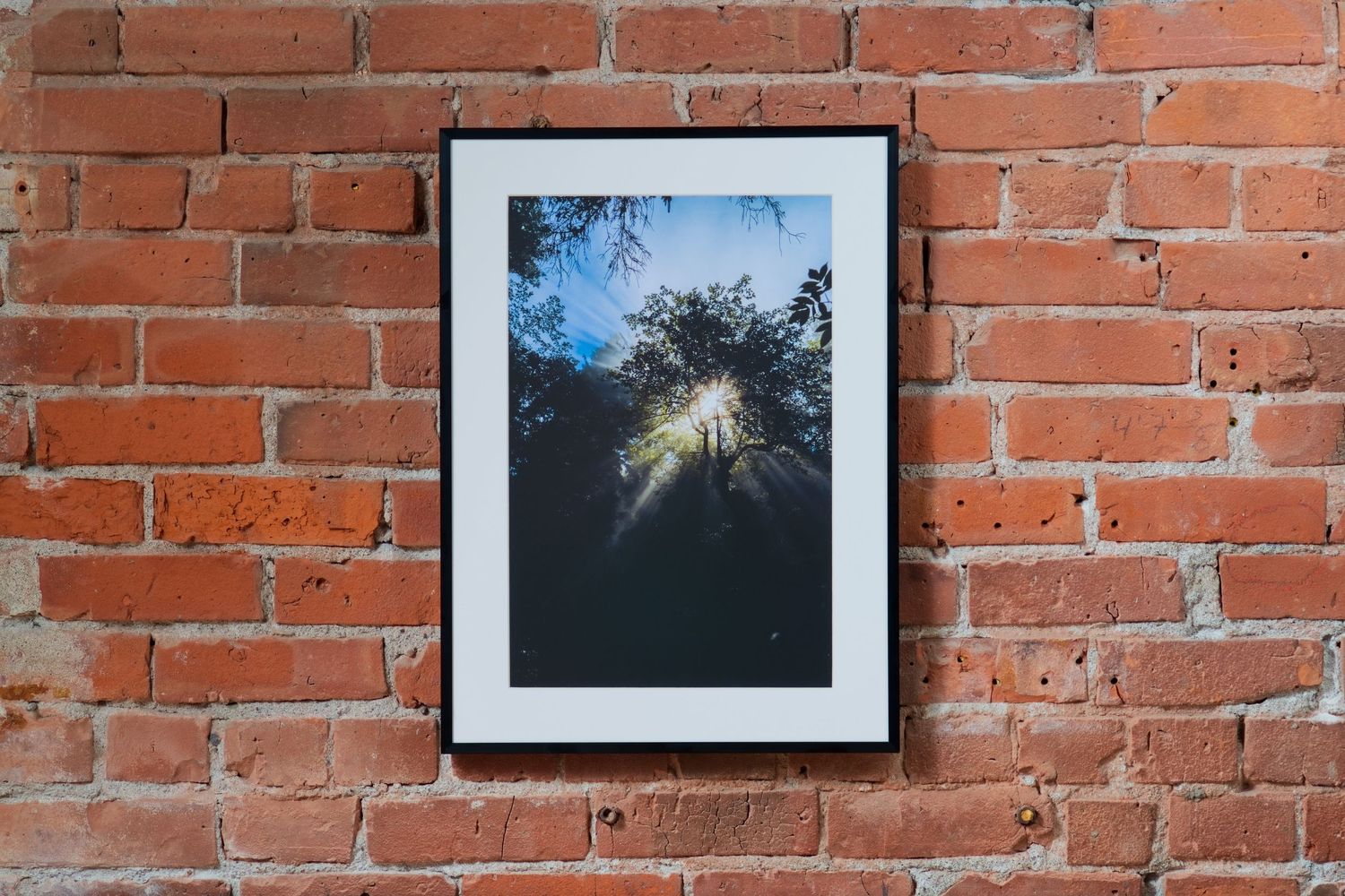 Framed forest canopy photo with sunlight streaming through trees, displayed on a rustic red brick wall.
