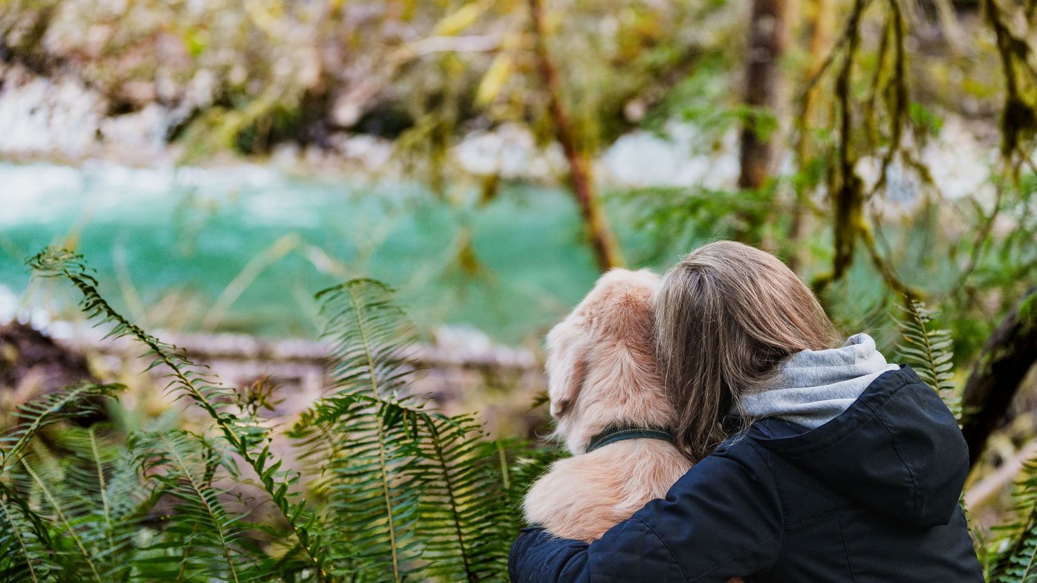 Person embracing a fluffy dog while overlooking a turquoise river surrounded by ferns and trees.
