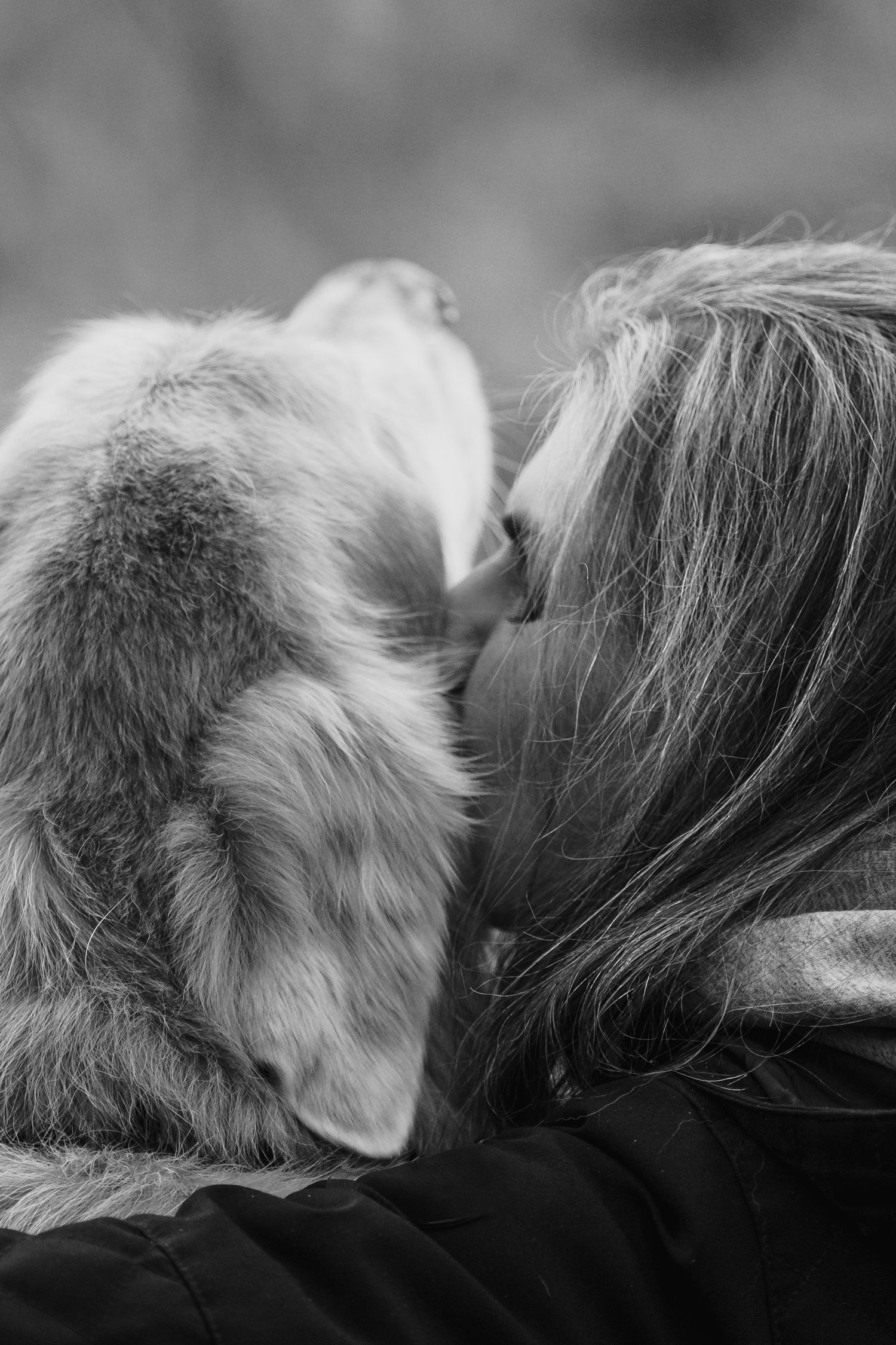 End of life pet photography Seattle — soul companion legacy session, woman and dog black and white